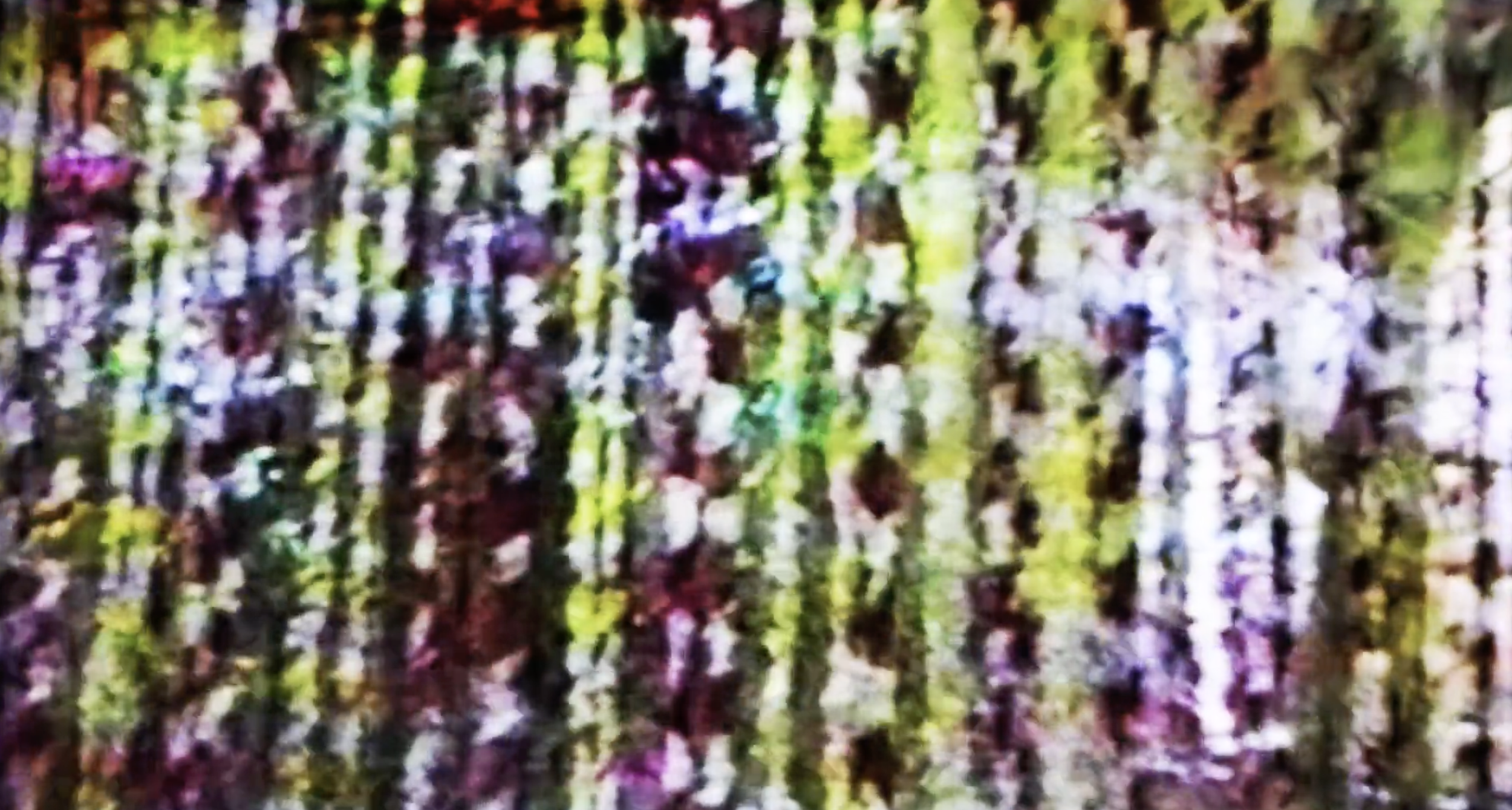 Screenshot 2026-04-23 at 10.26.07 PM.png