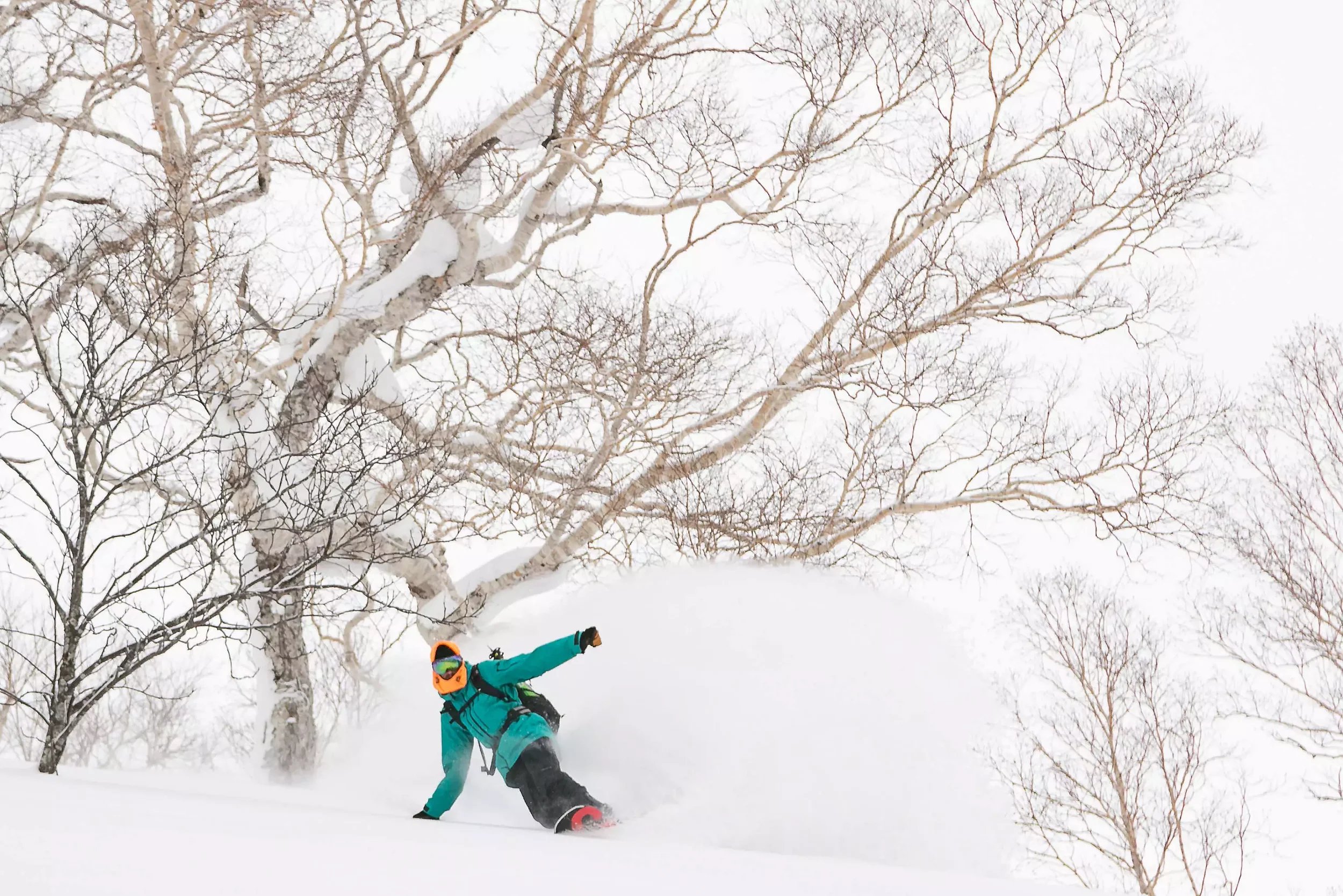 Skiing and Snowboarding - Advanced Terrain Guide - Niseko