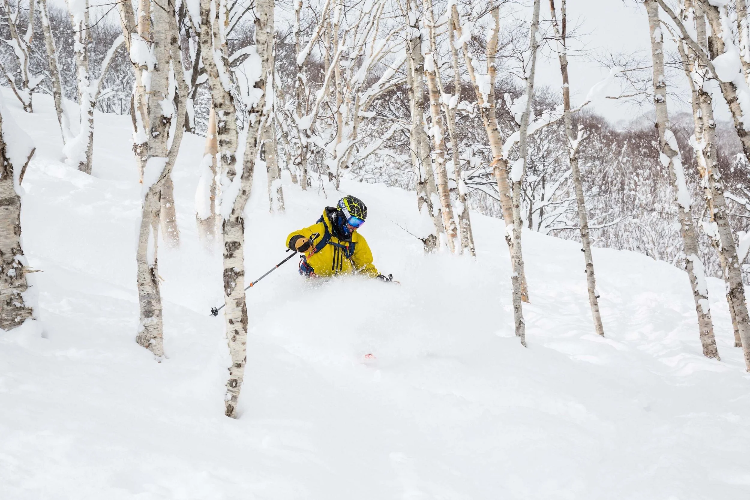 Skiing and Snowboarding - Winter Activity - Niseko