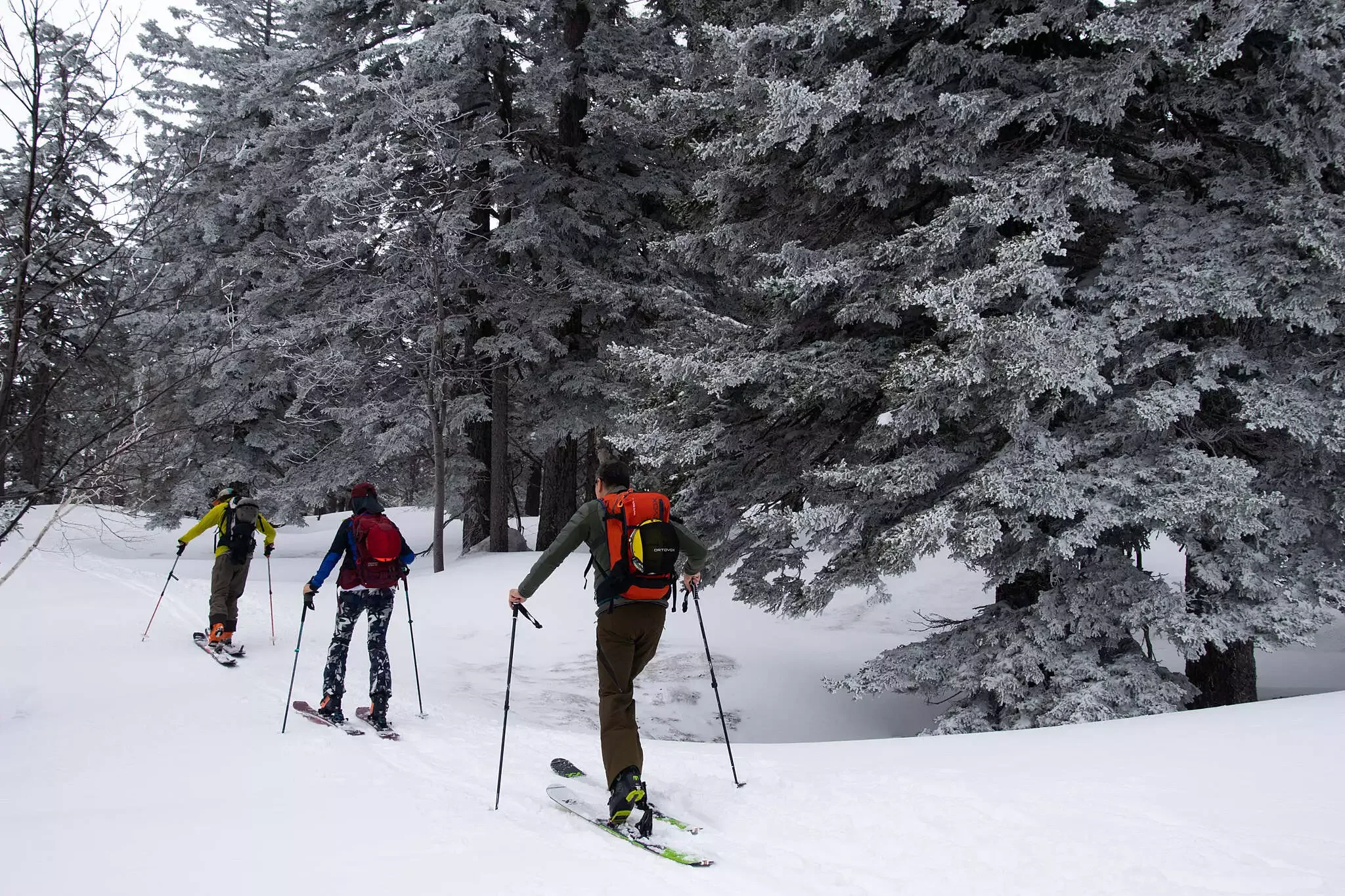 Skiing and Snowboarding - Hokkaido Backcountry Guide - Niseko