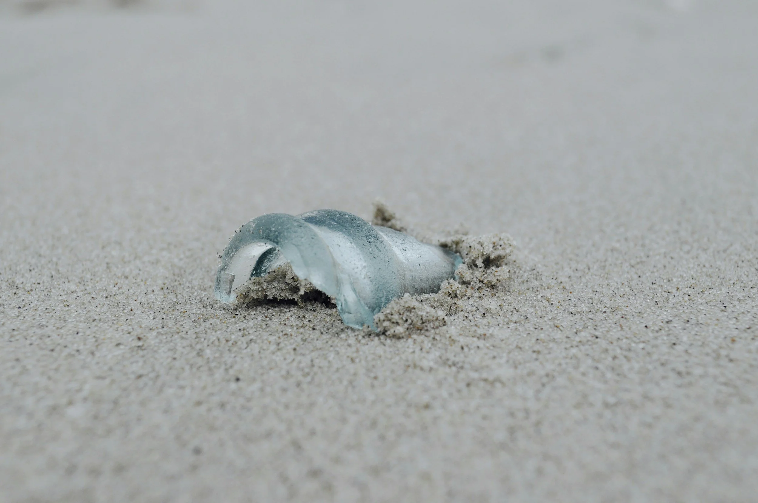 A broken glass seagull lying on sandy beach with grains of sand on and around it.