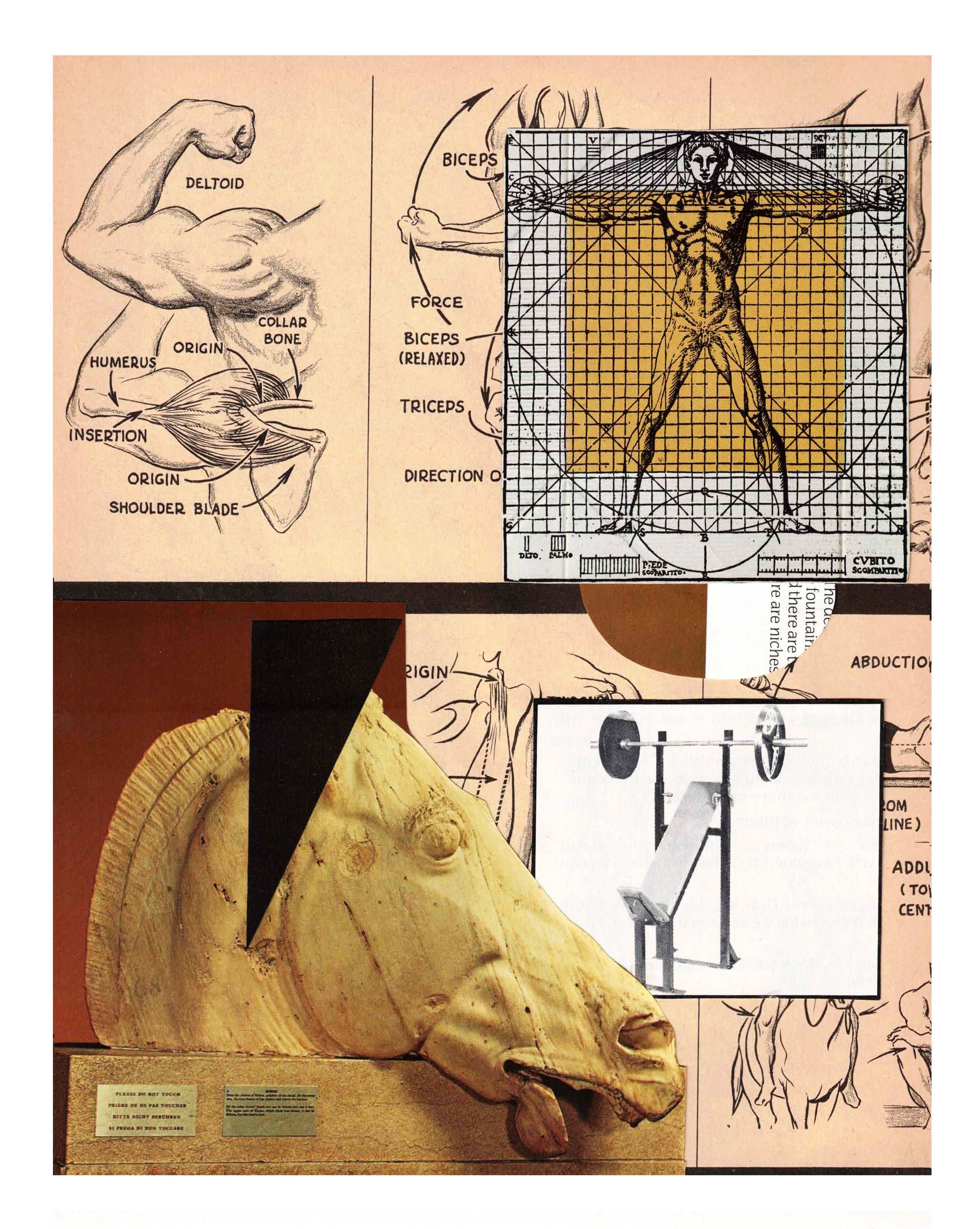  9x12 in, hand-cut collage, 2025
