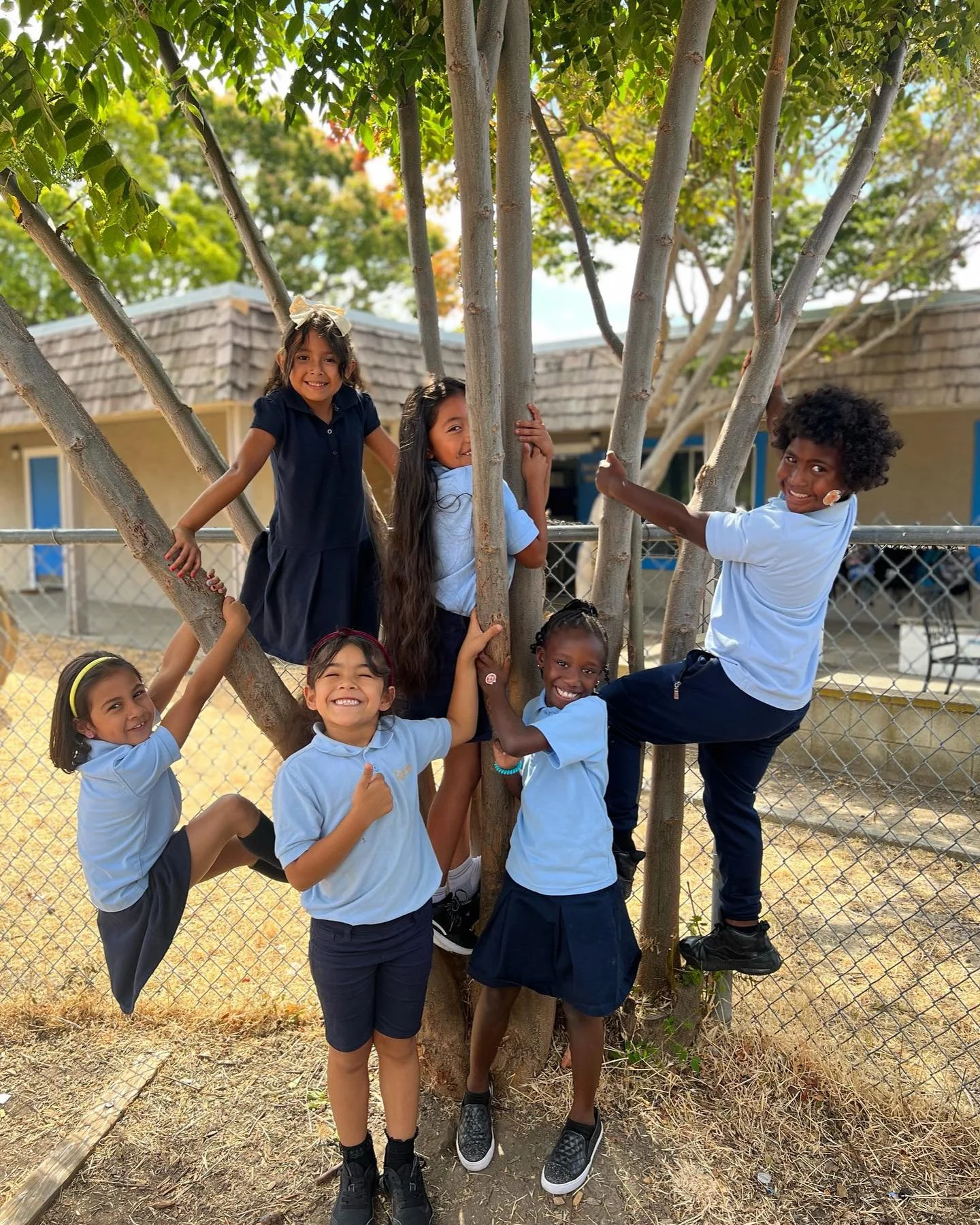Hayward Collegiate (TK6) — Navigator Schools
