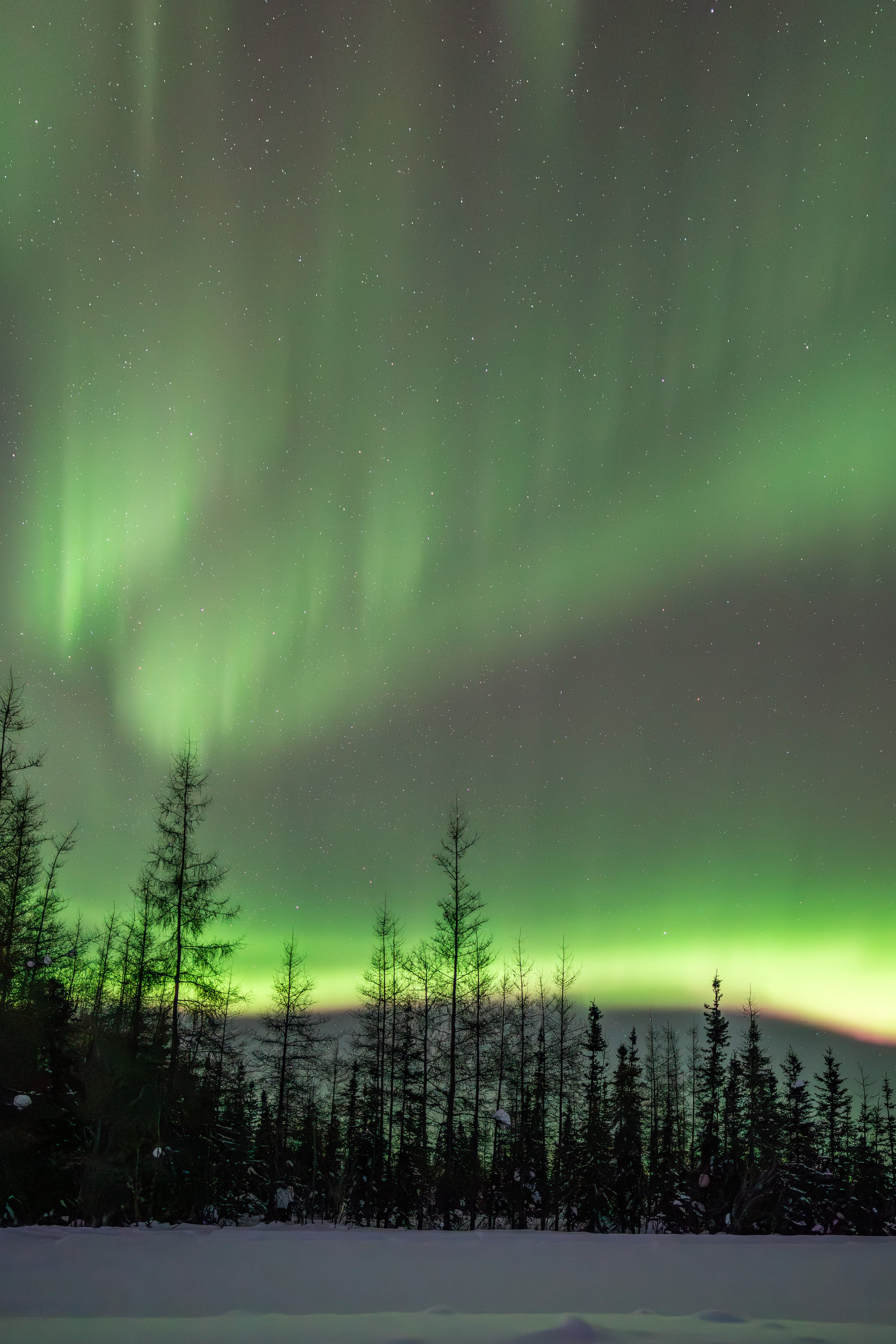 Winter Skyfire