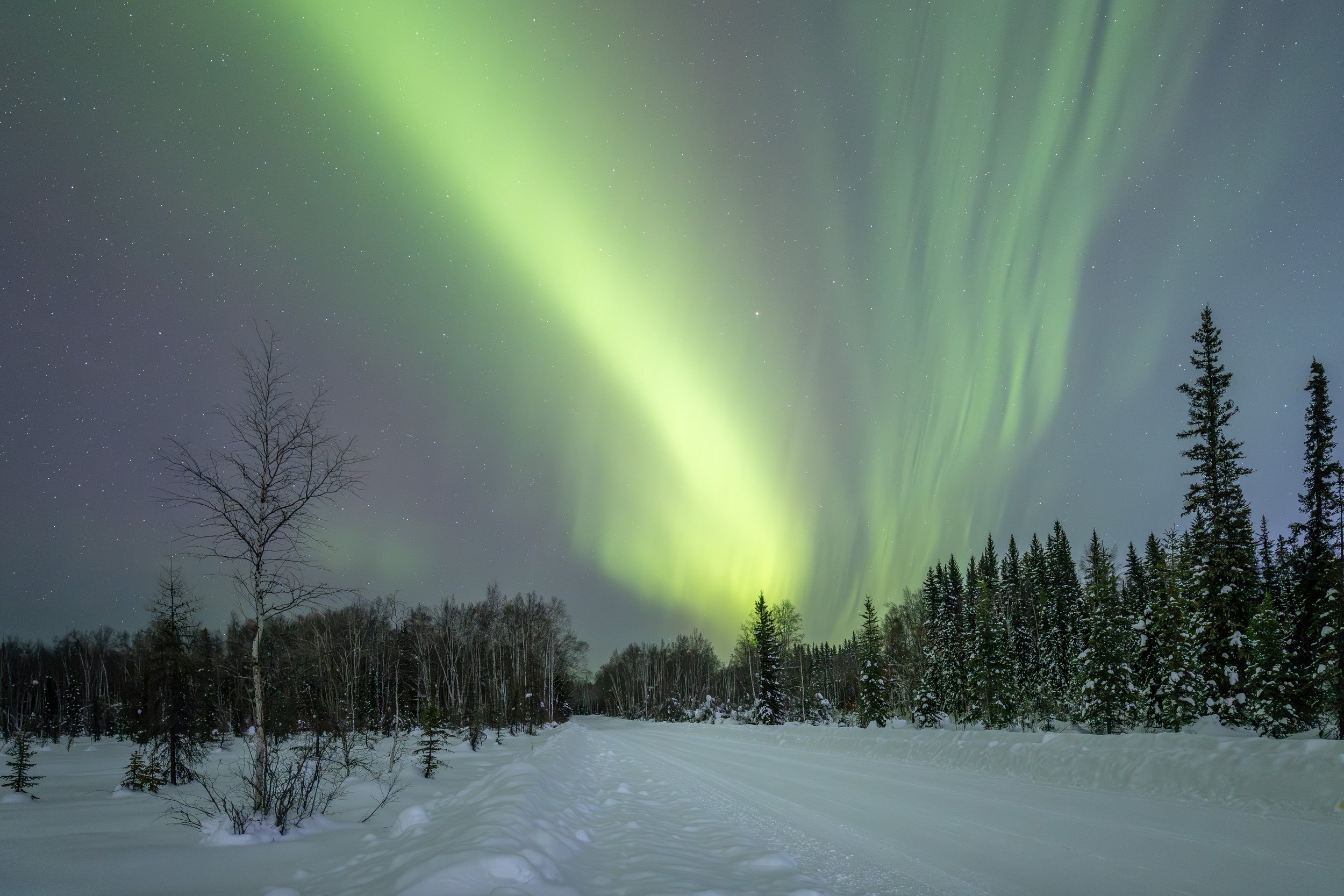 Road Into the Aurora