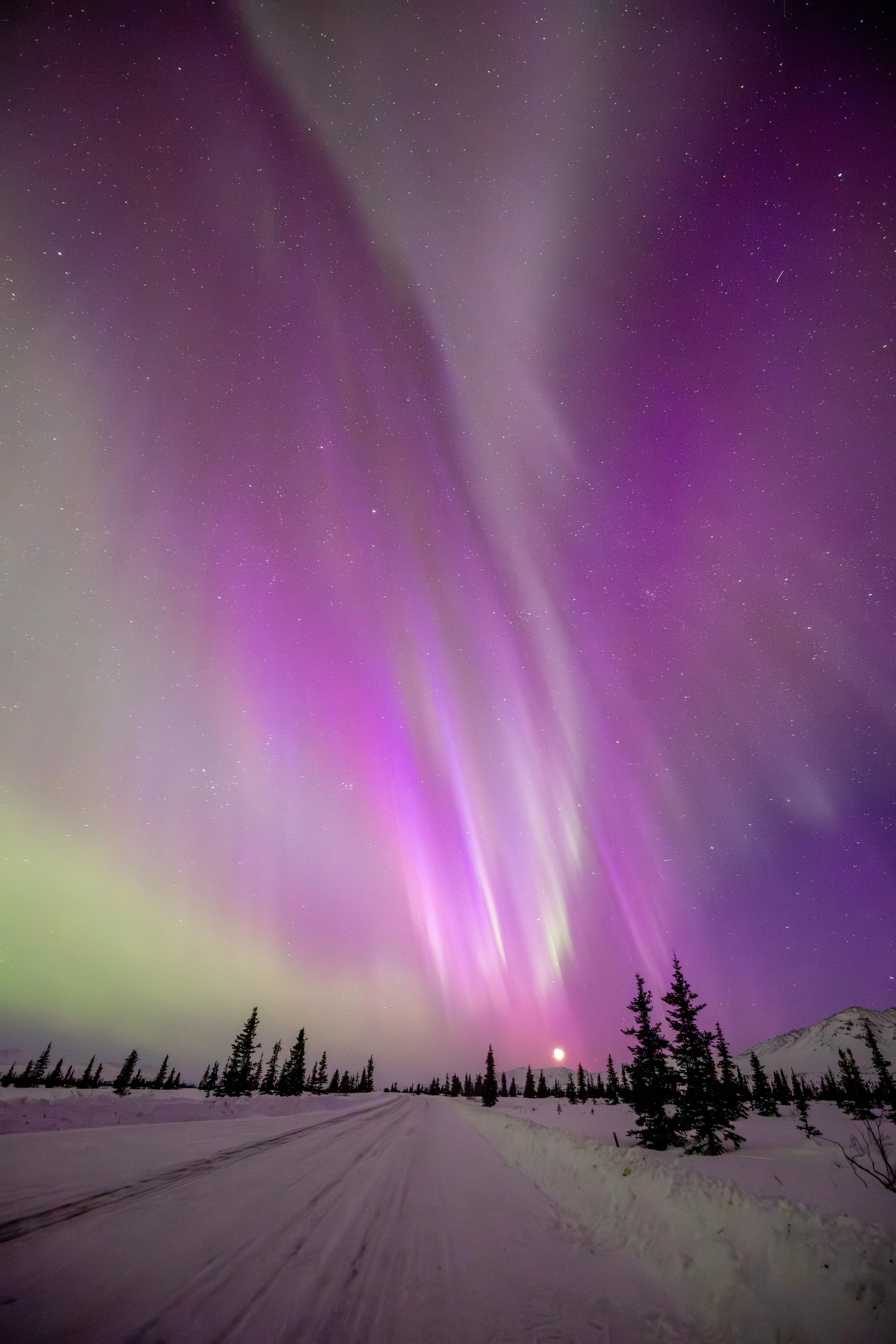 Moonlit Borealis