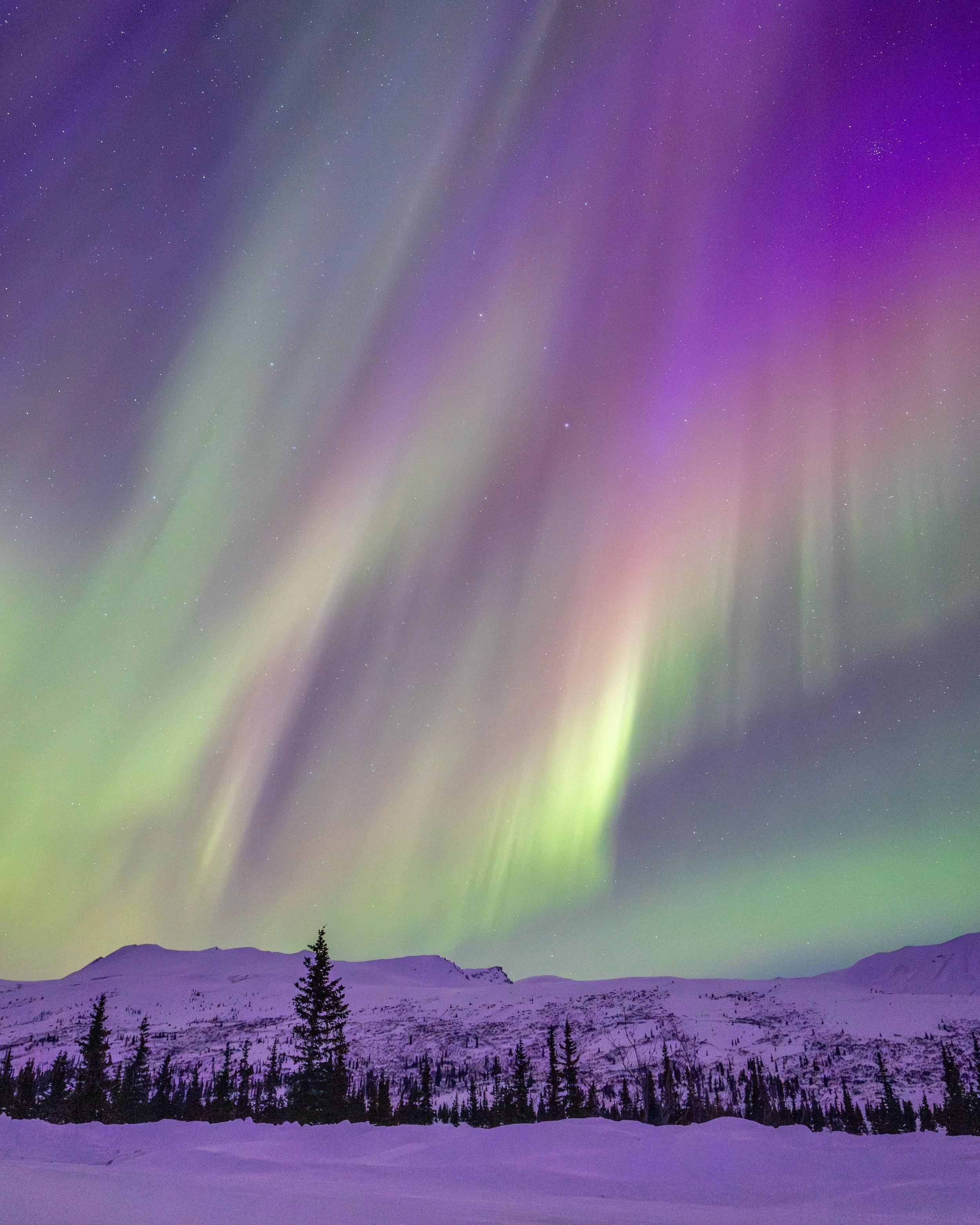 Aurora Awakening