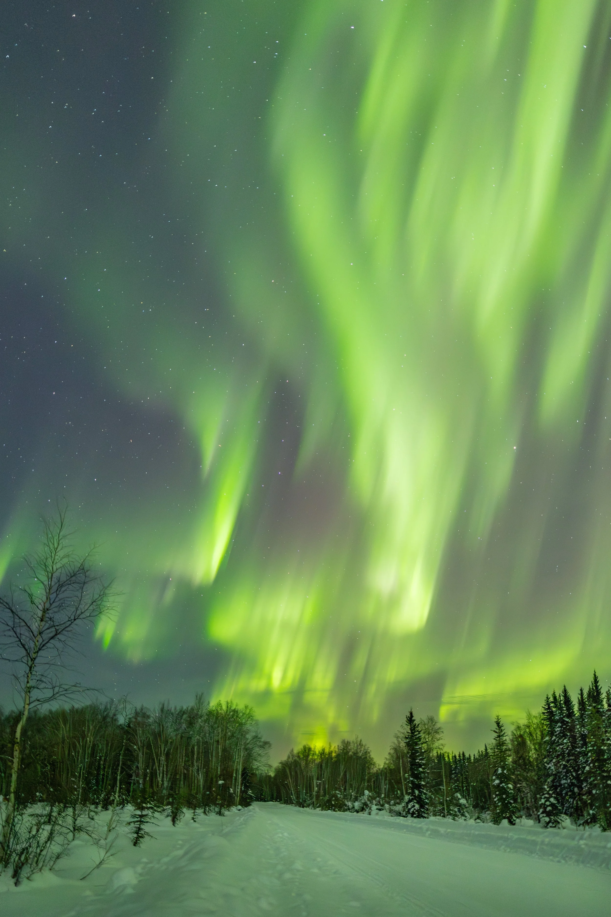 Northern Veil