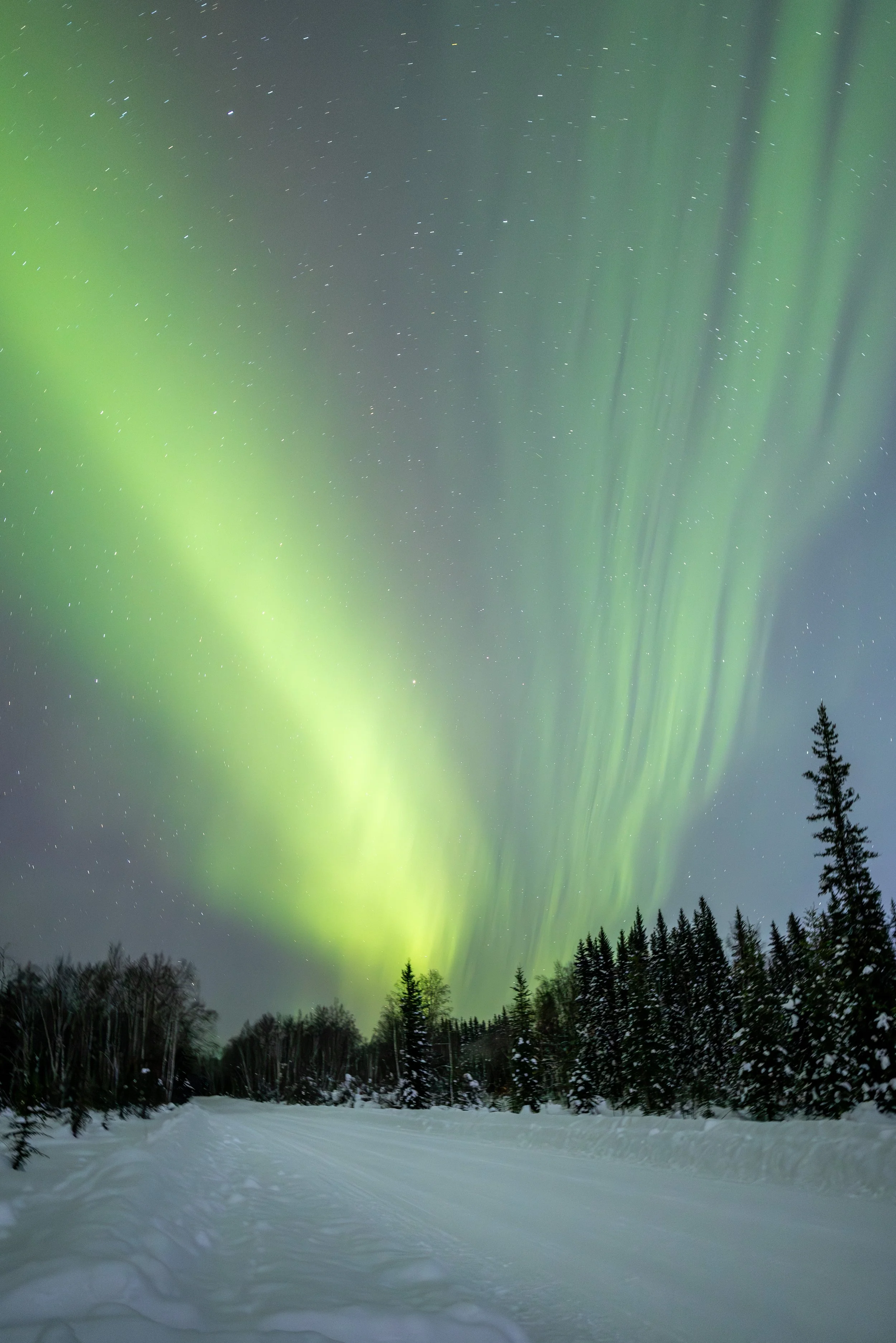 Curtains of the North