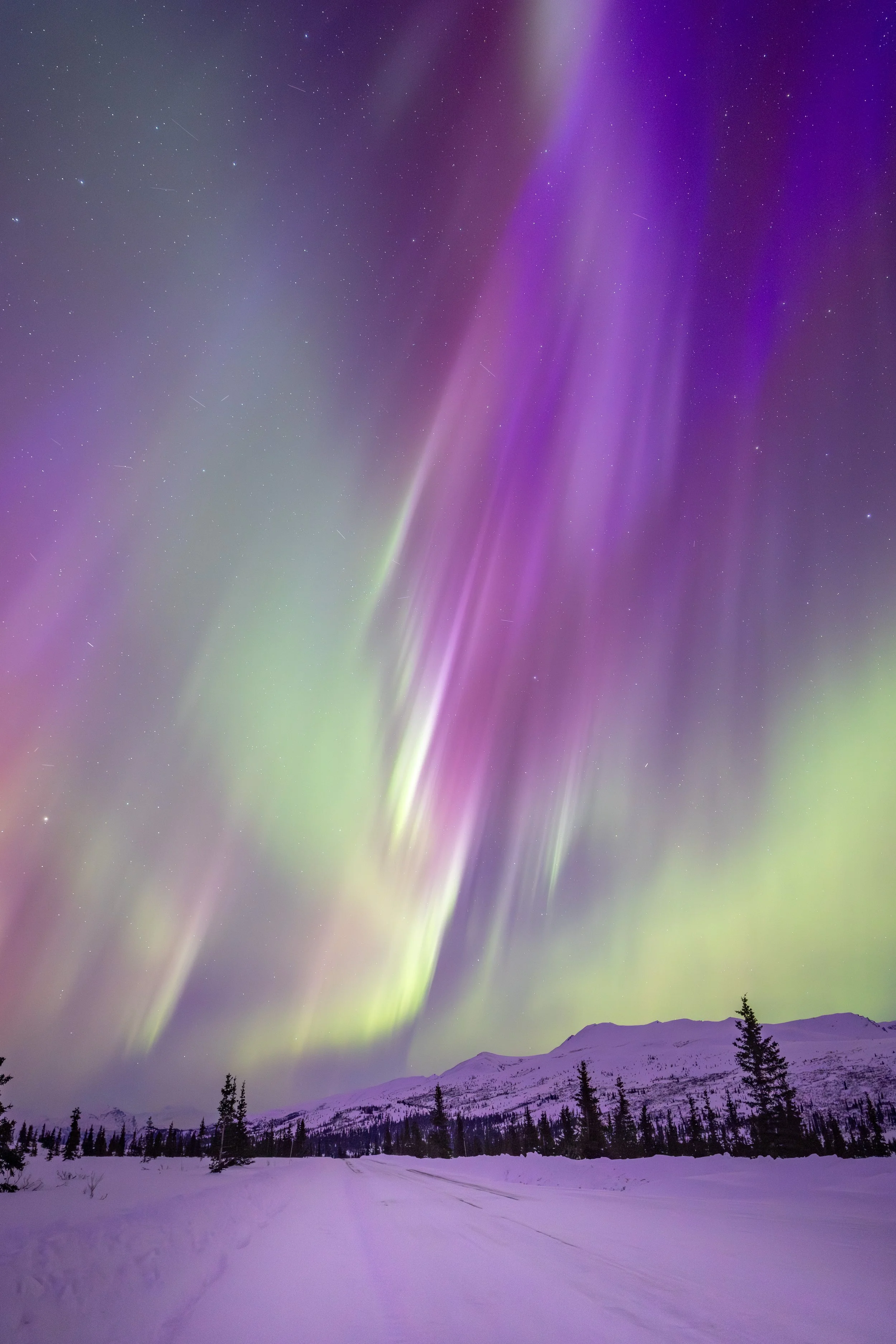 Dancing Skies