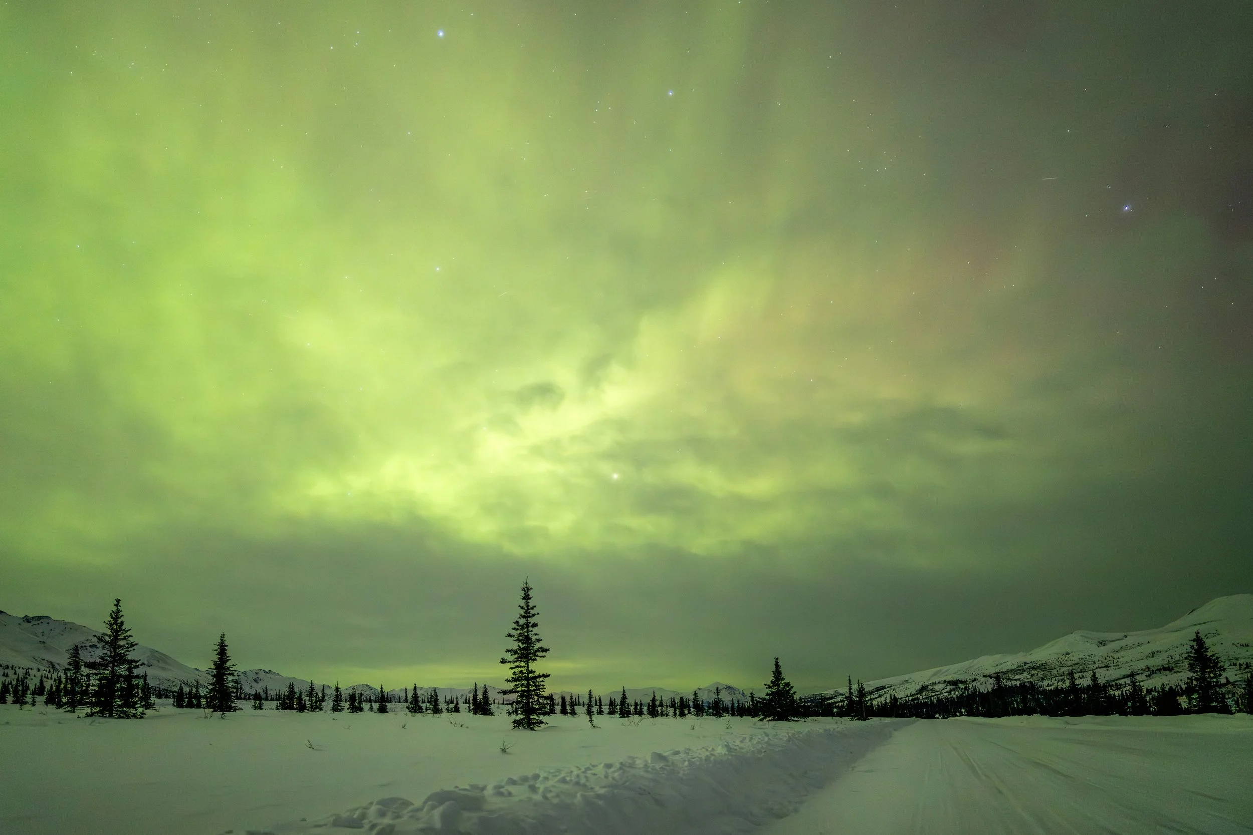 Beneath the Northern Glow