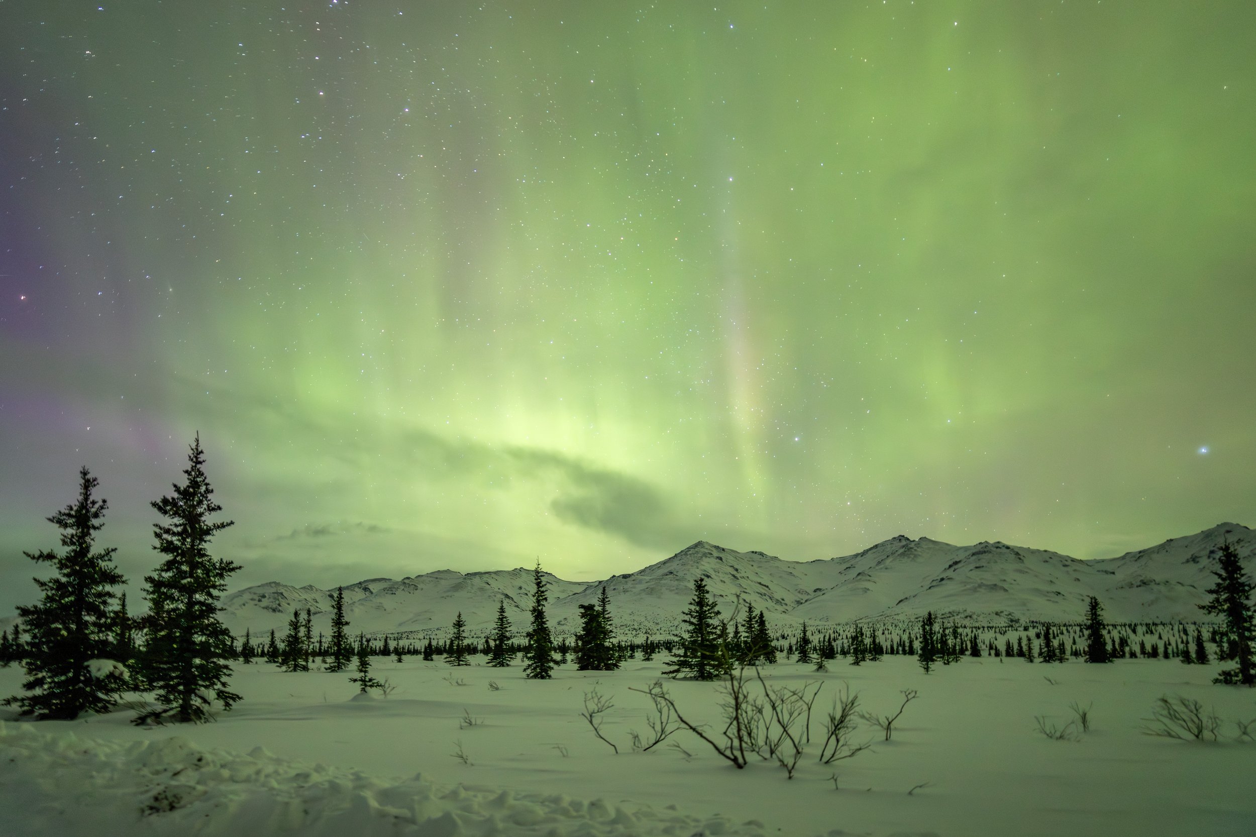 Emerald Skies of Denali