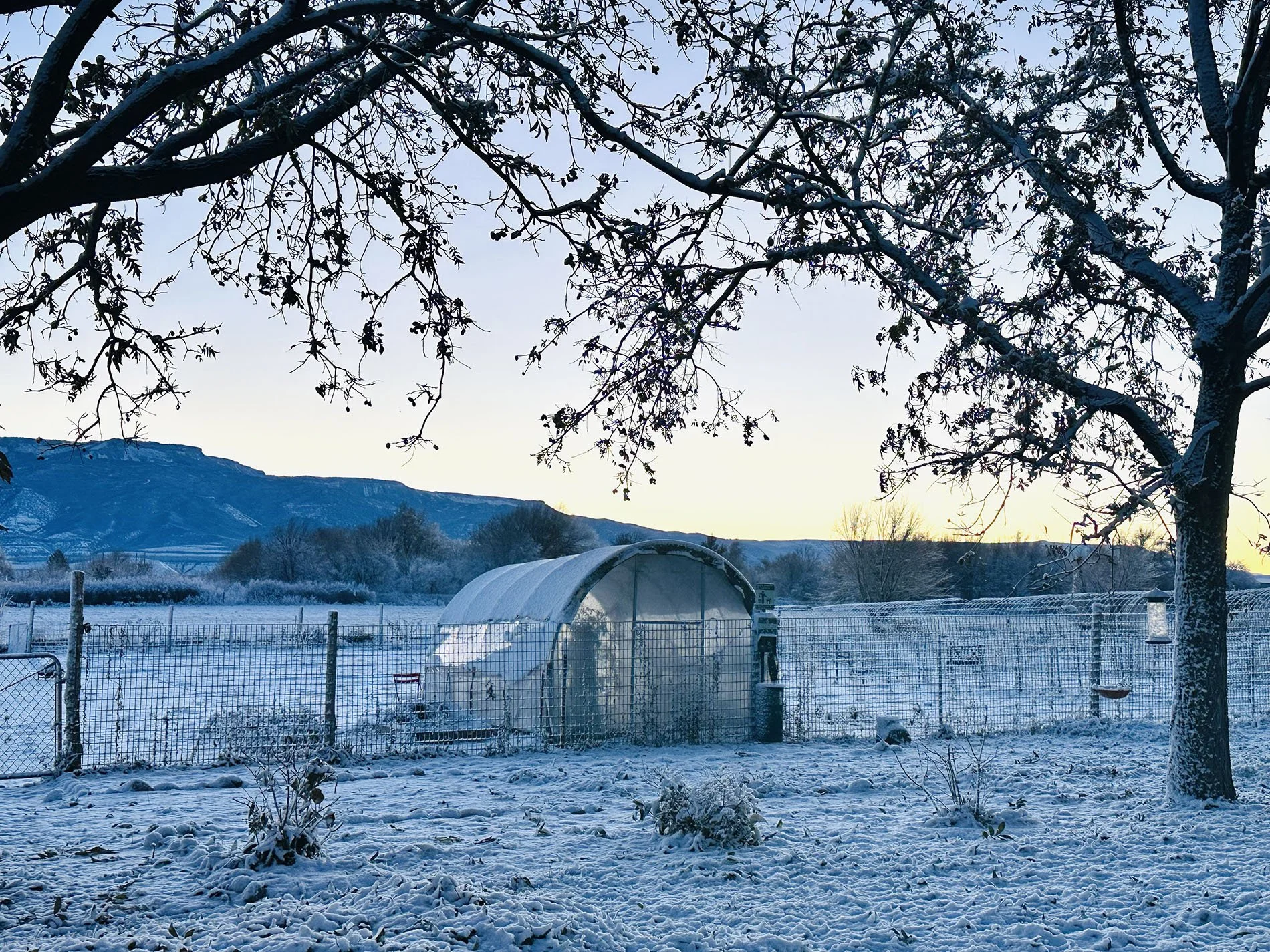 The first Snow Fall
