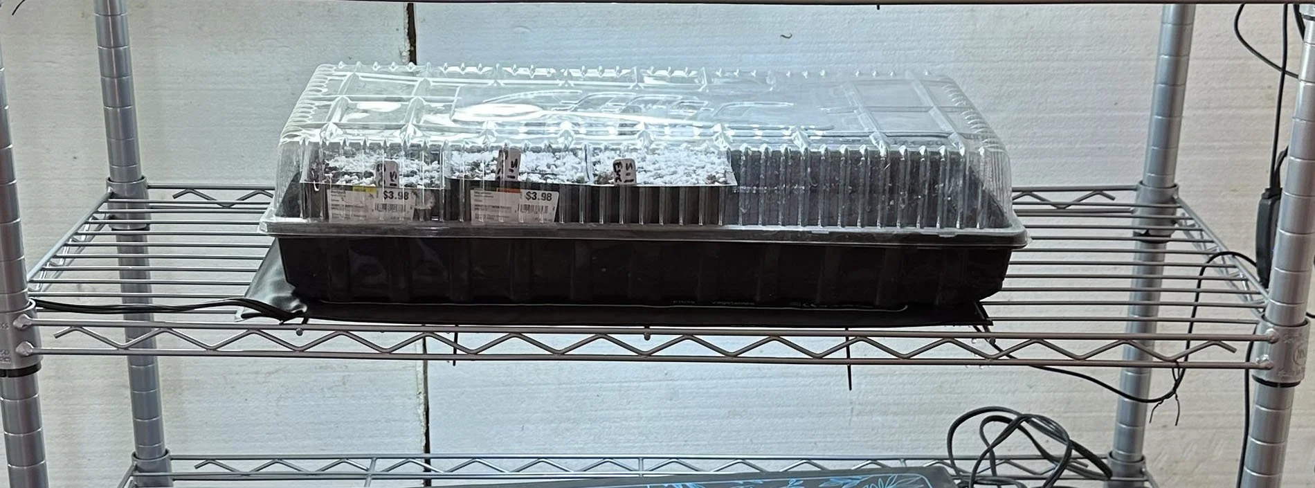 Experimenting with Eucalyptus