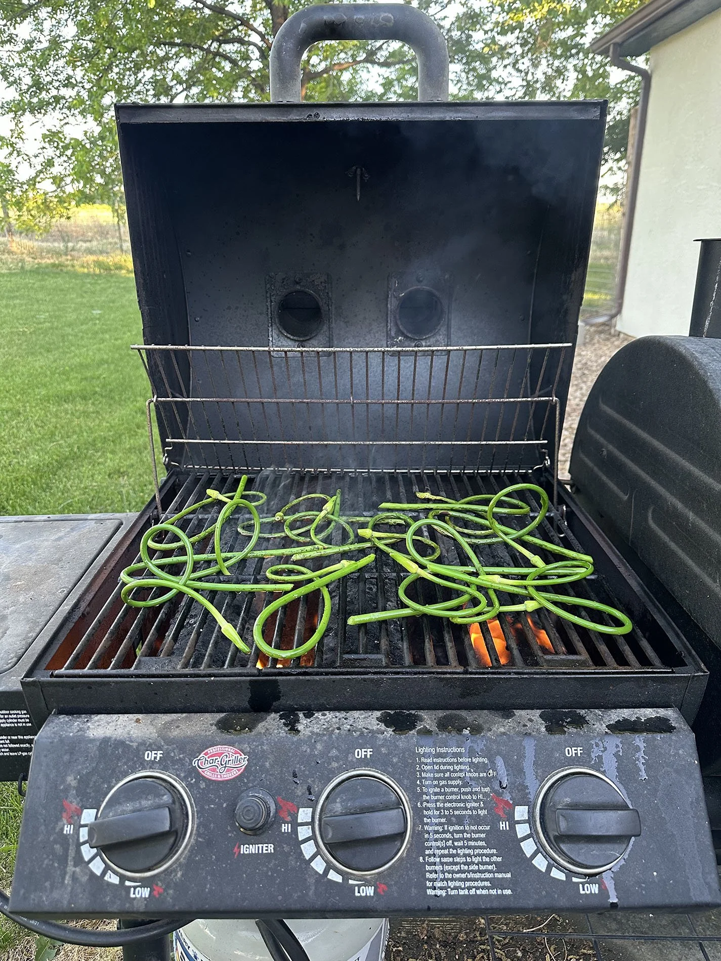 Grilled Garlic Scapes