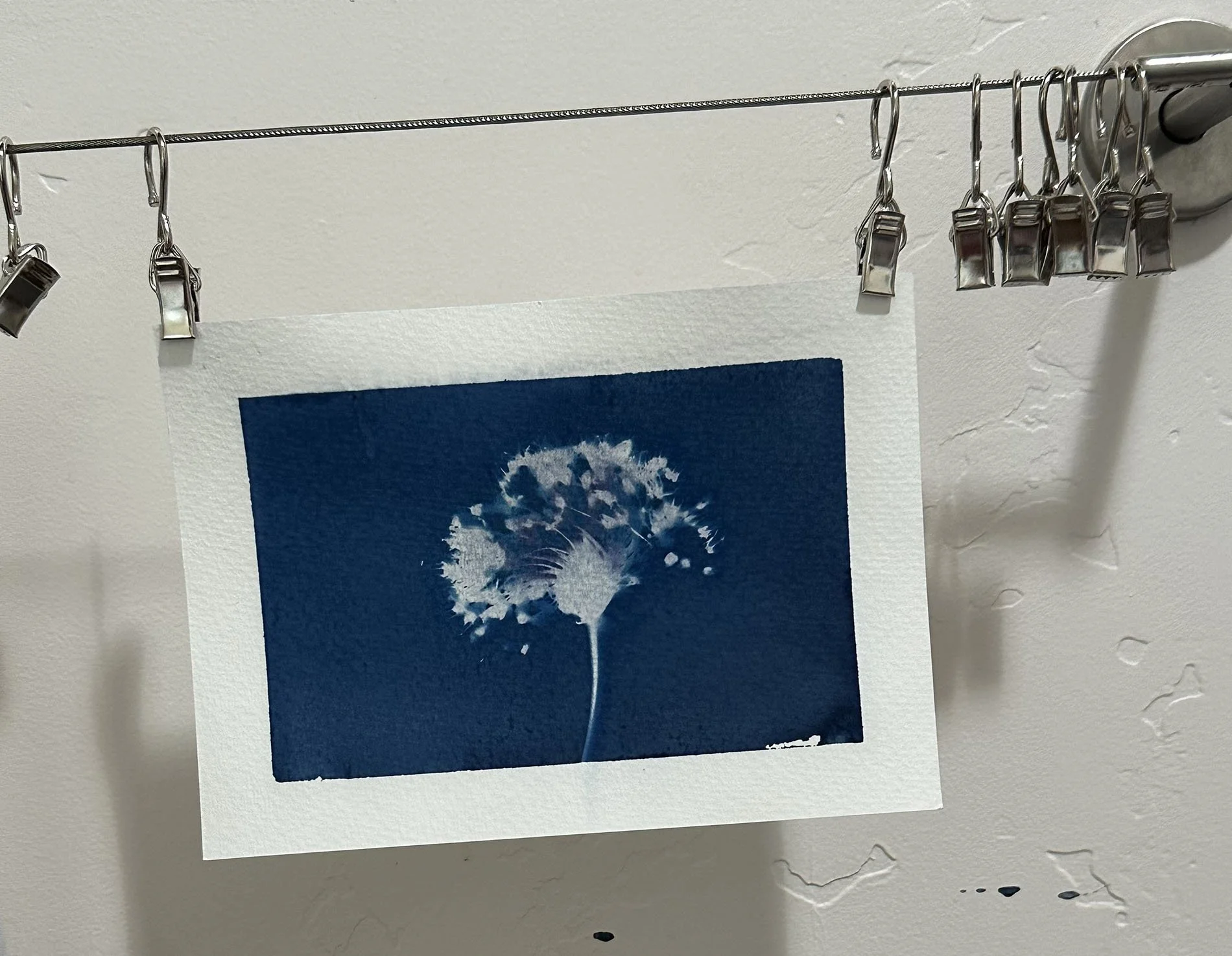 Exploring Cyanotype Printing