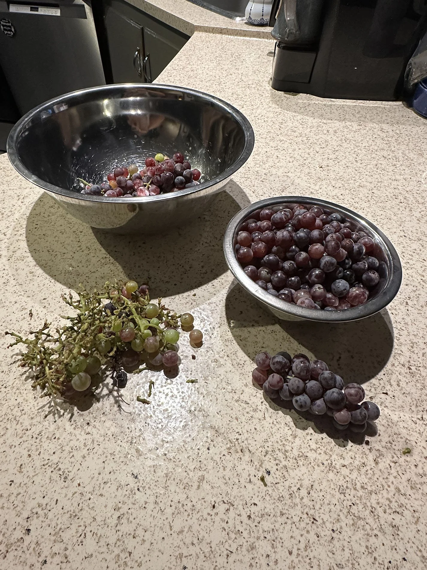 Making Raisins