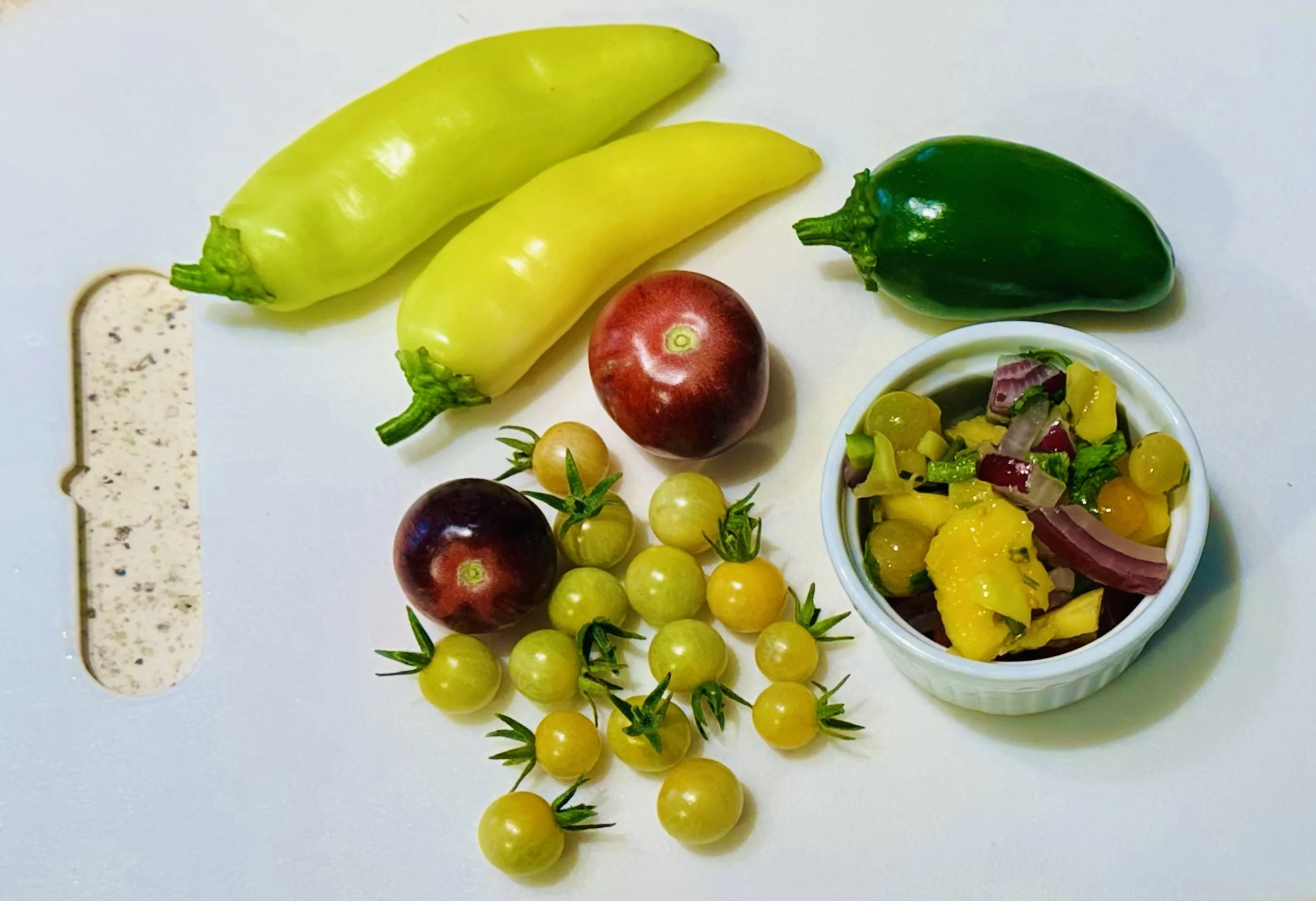 Posh Gardens Salsa