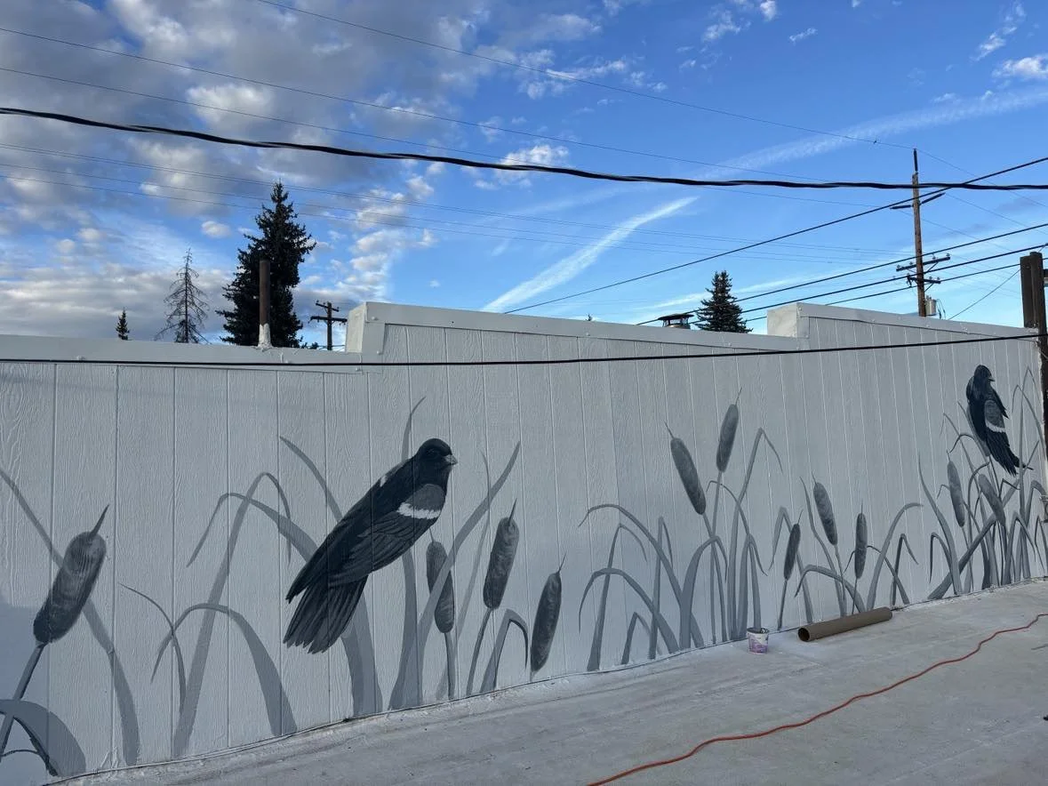 Red-Winged black birds Mural