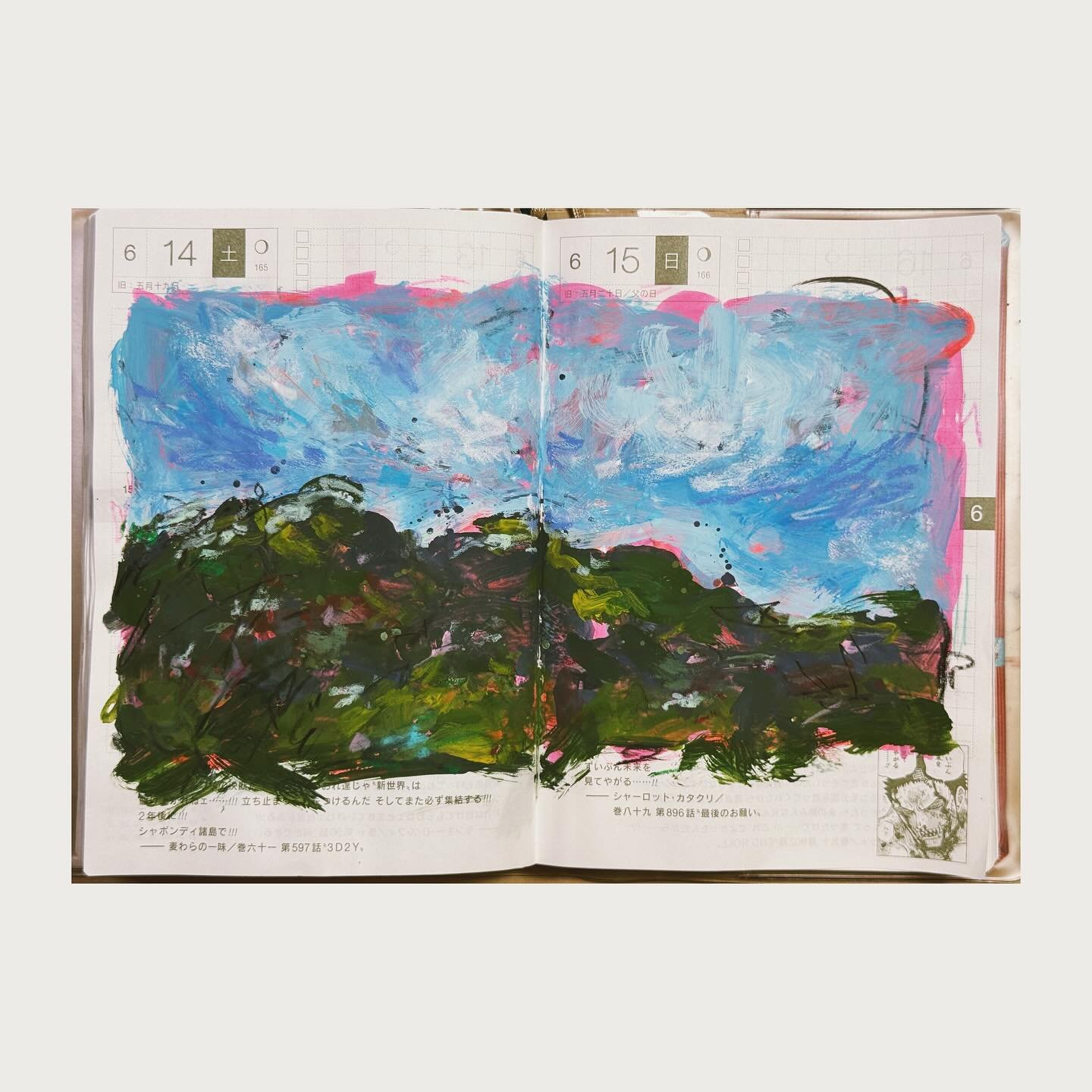 🖌️Week 24 in Hobonichi techo📔
#hobonichi #hobonichitecho #doodle #sketch #painting #sketchbook #mixedmedia #dailypainting
