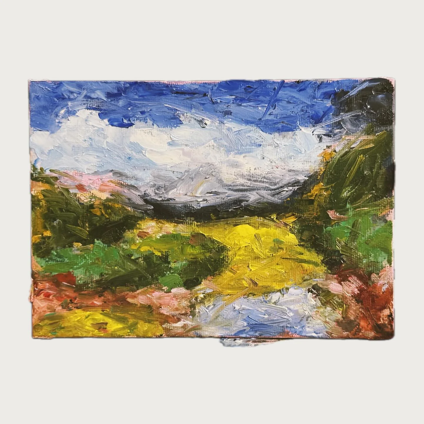 Oils on canvas board
#painting #oilpainting #abstract #landscape #holbeinduo #holbeinduoaquaoil