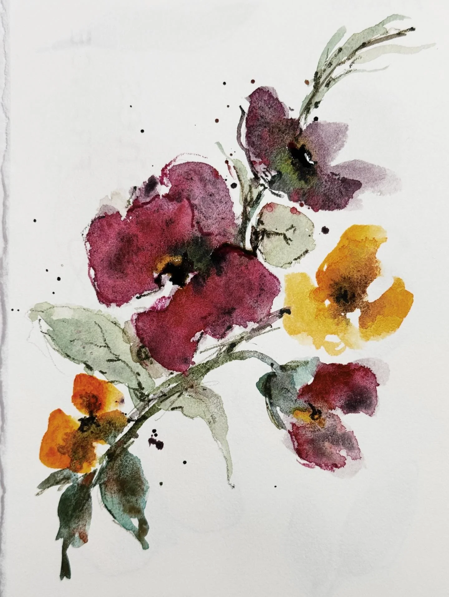 Sunday play
#watercolor&nbsp;#watercolorflowers&nbsp;#danielsmithwatercolors&nbsp;#holbeinpalette #archespaper