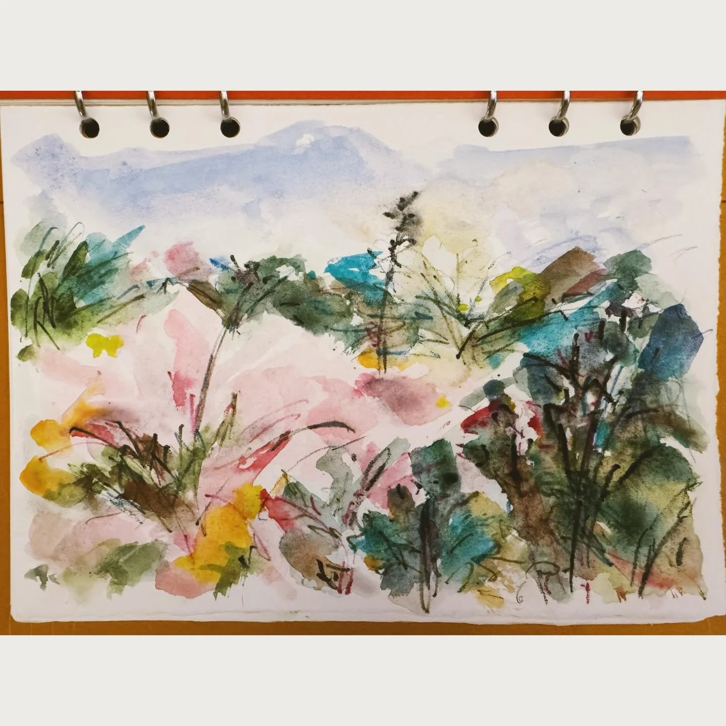 Watercolor and inktense pencils 
#sketch #sketchbook #dailypainting #mixedmedia #abstract