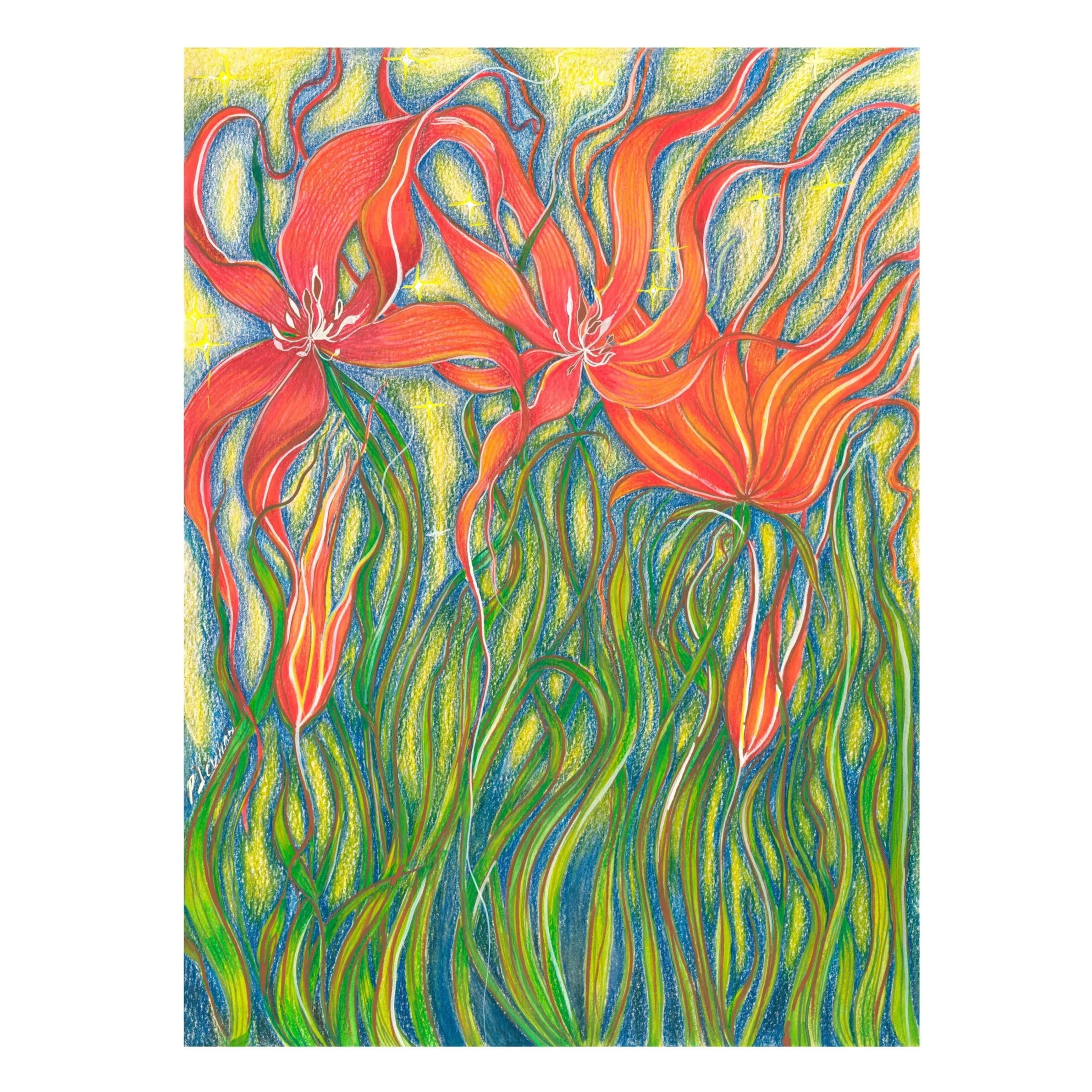 I went on a walk and saw some wildflowers