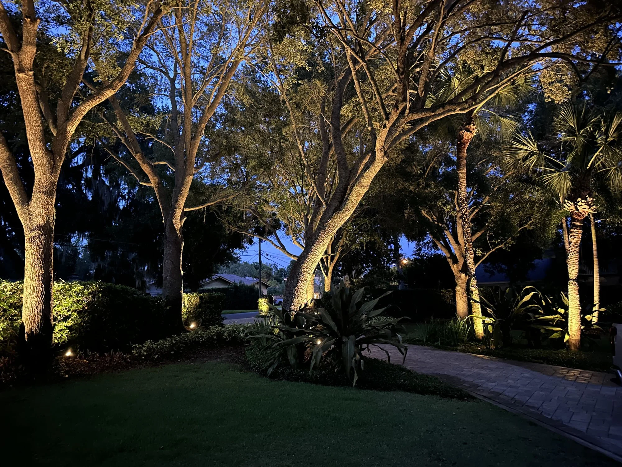 Winter Park landscape lighting installation company_result.jpg