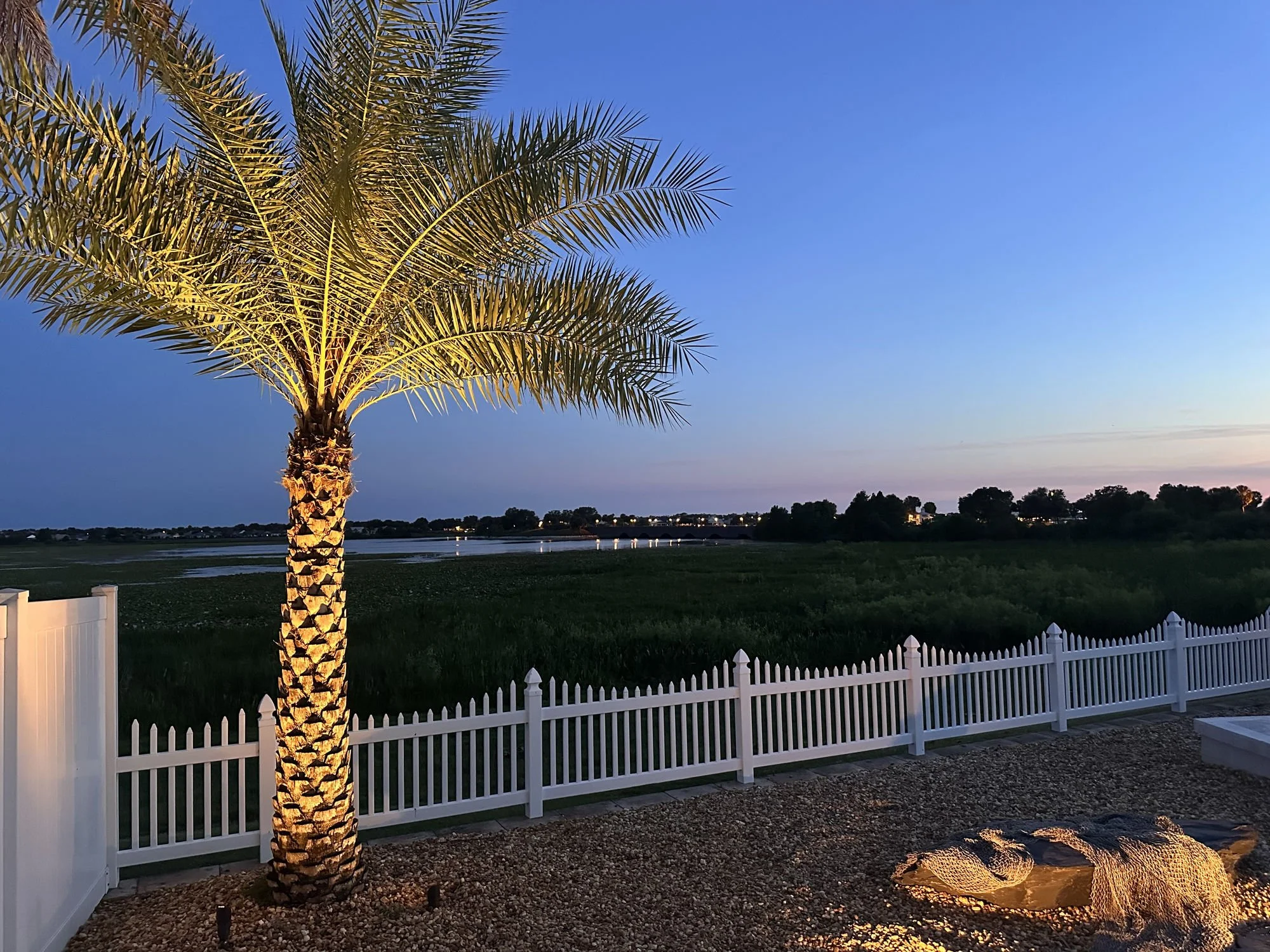 A palm tree with landscape lighting at dusk in Central Florida near the lake.