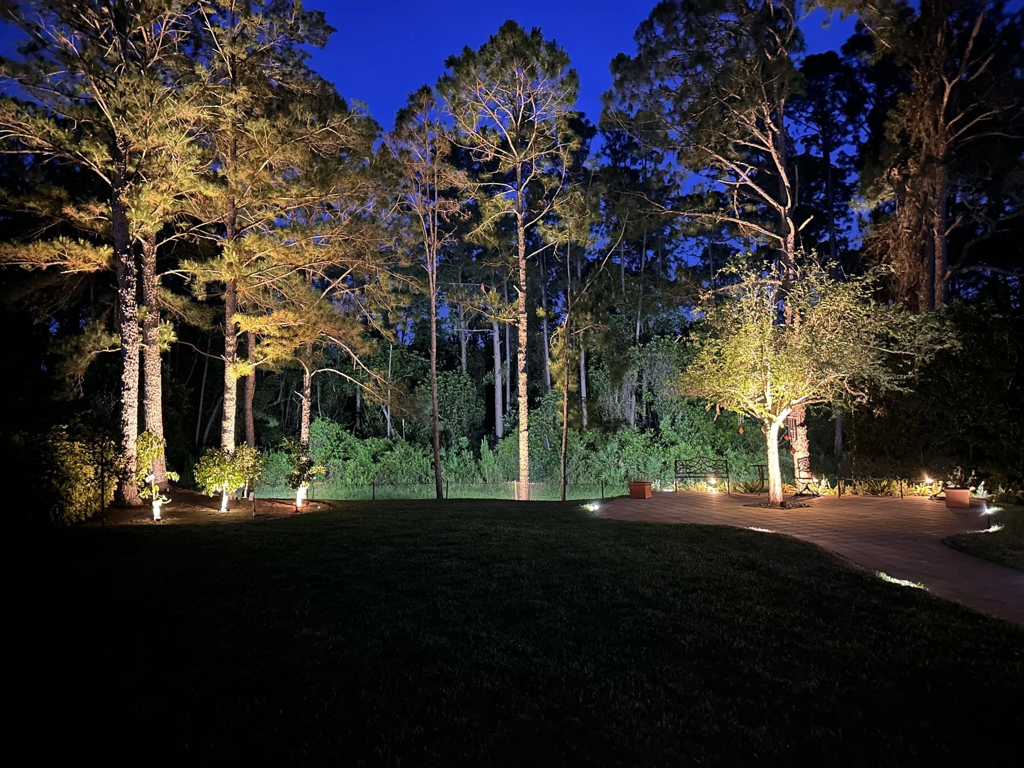 Landscape Lighting Installation in Windermere_result.jpg