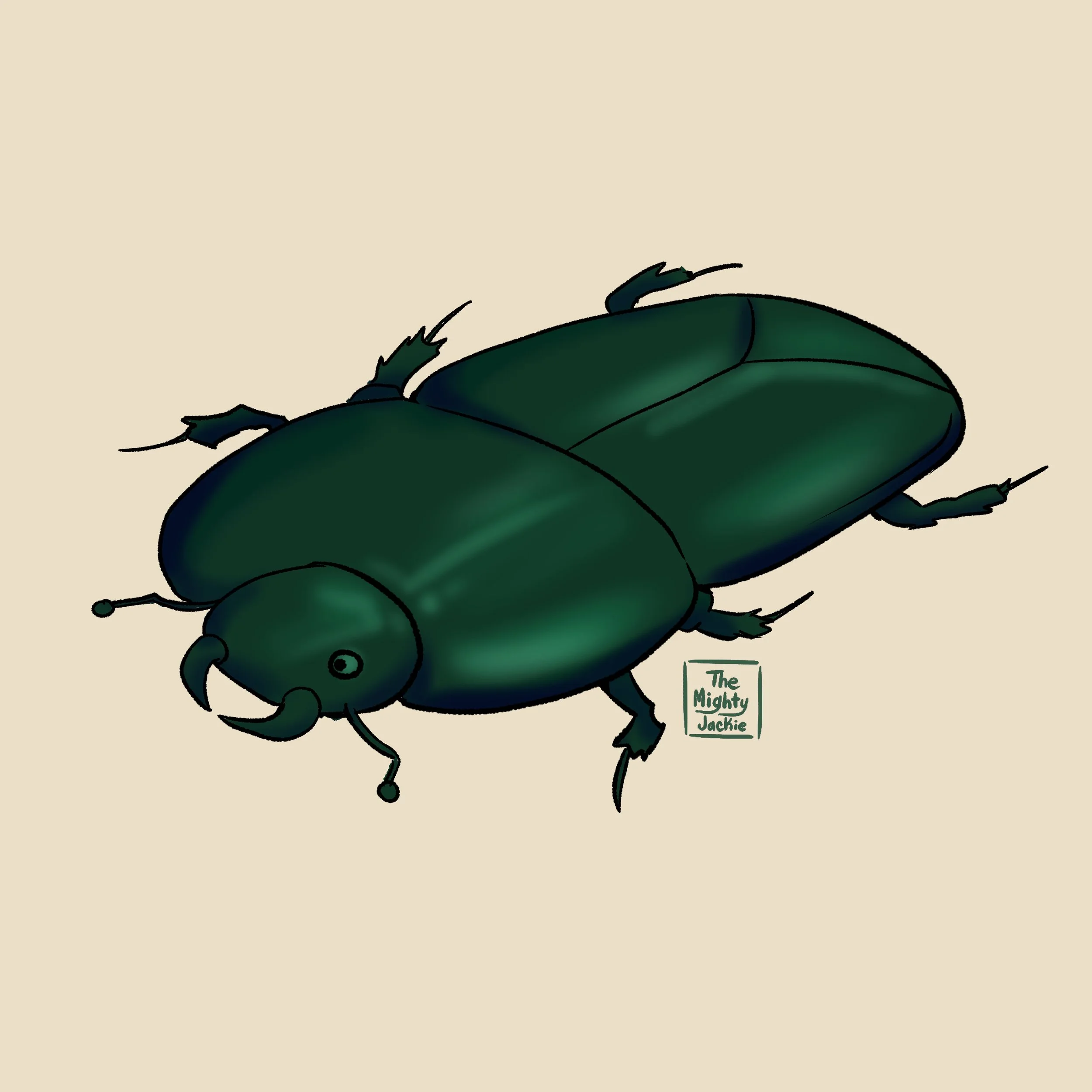 Flattened Clown Beetle.jpg