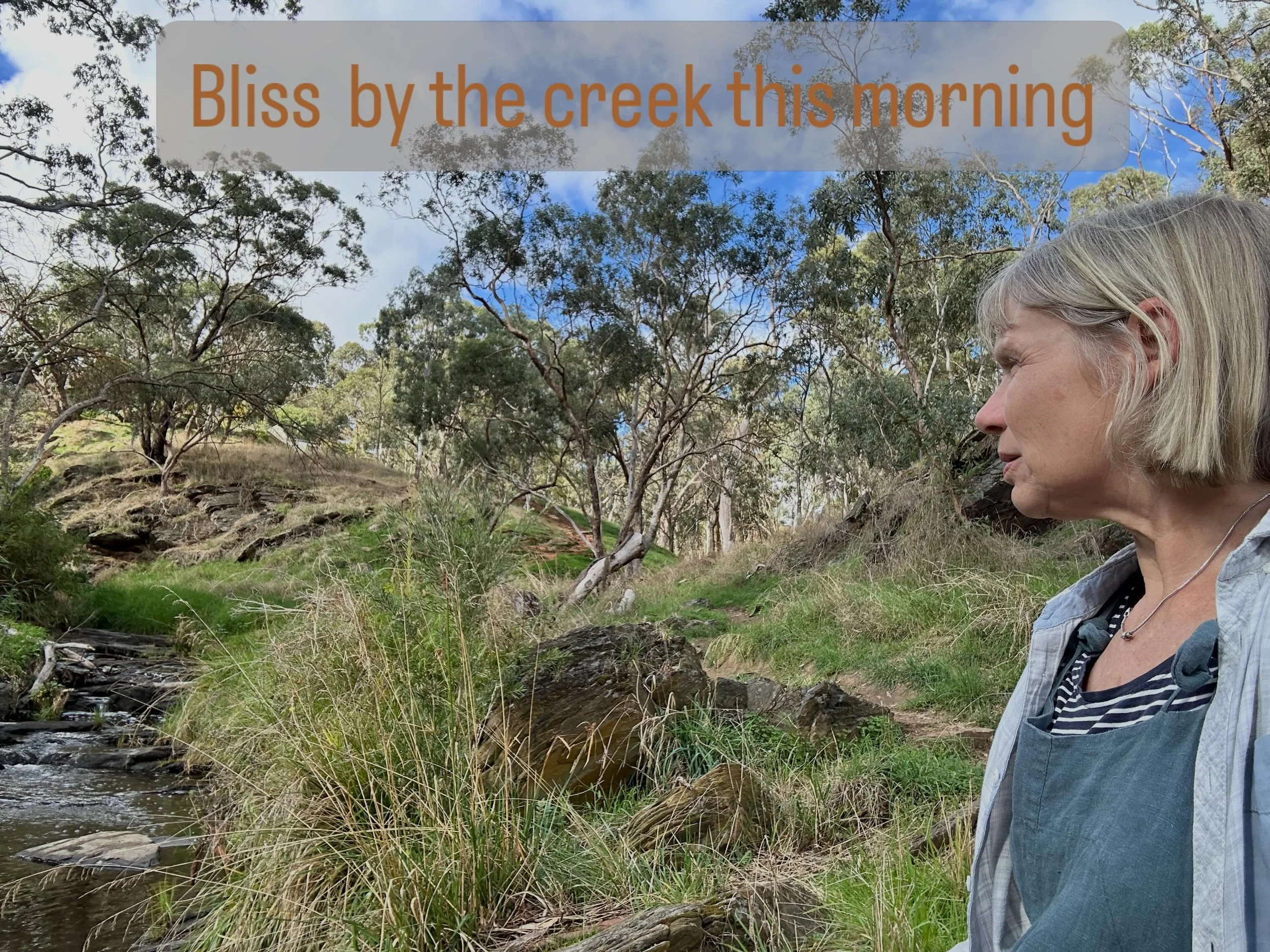 ☀️ Bliss by my creek this morning ❤️
Sat quietly for a bit and just listened 
(Sound on&hellip;)