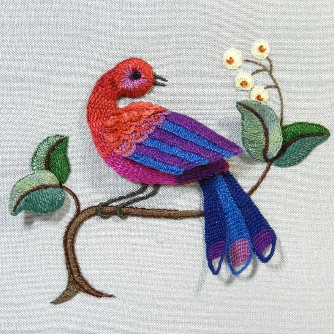 Blue Tailed Whistler