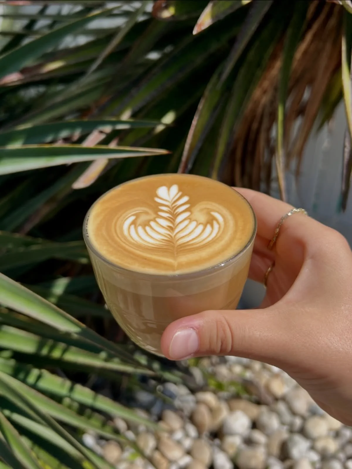 Looks this good for a reason✨
Proudly brewing with @single_o 

#topshopbyronbay #byronbay #CafeVibes #goodcoffee #specialtycoffee