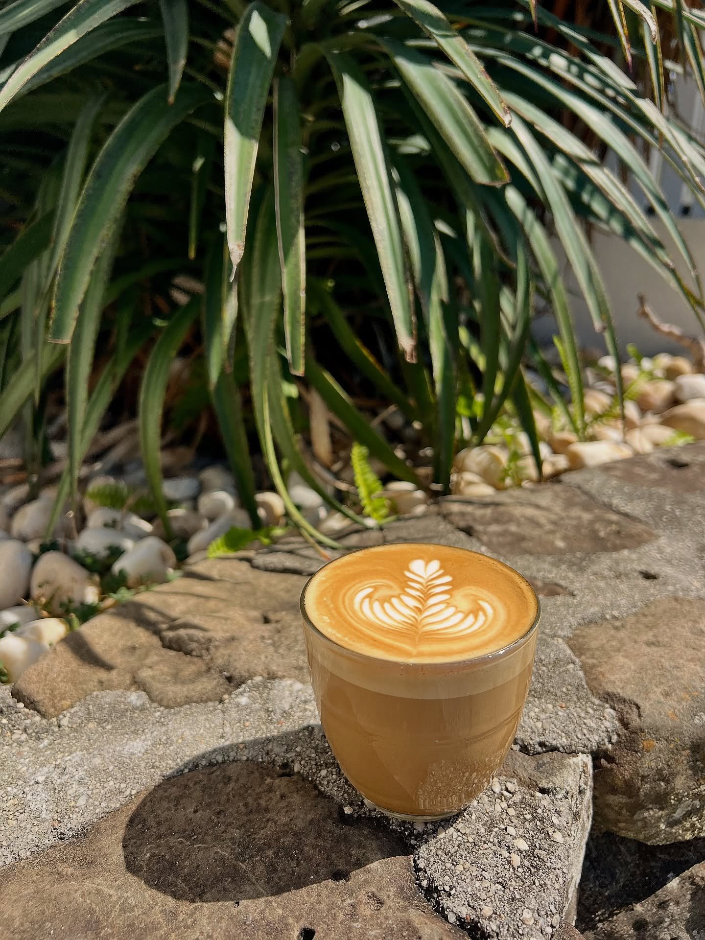 Just a good coffee✨☕️

#coffeetime #topshopbyronbay #coastallife #byronbay #CoffeeCulture