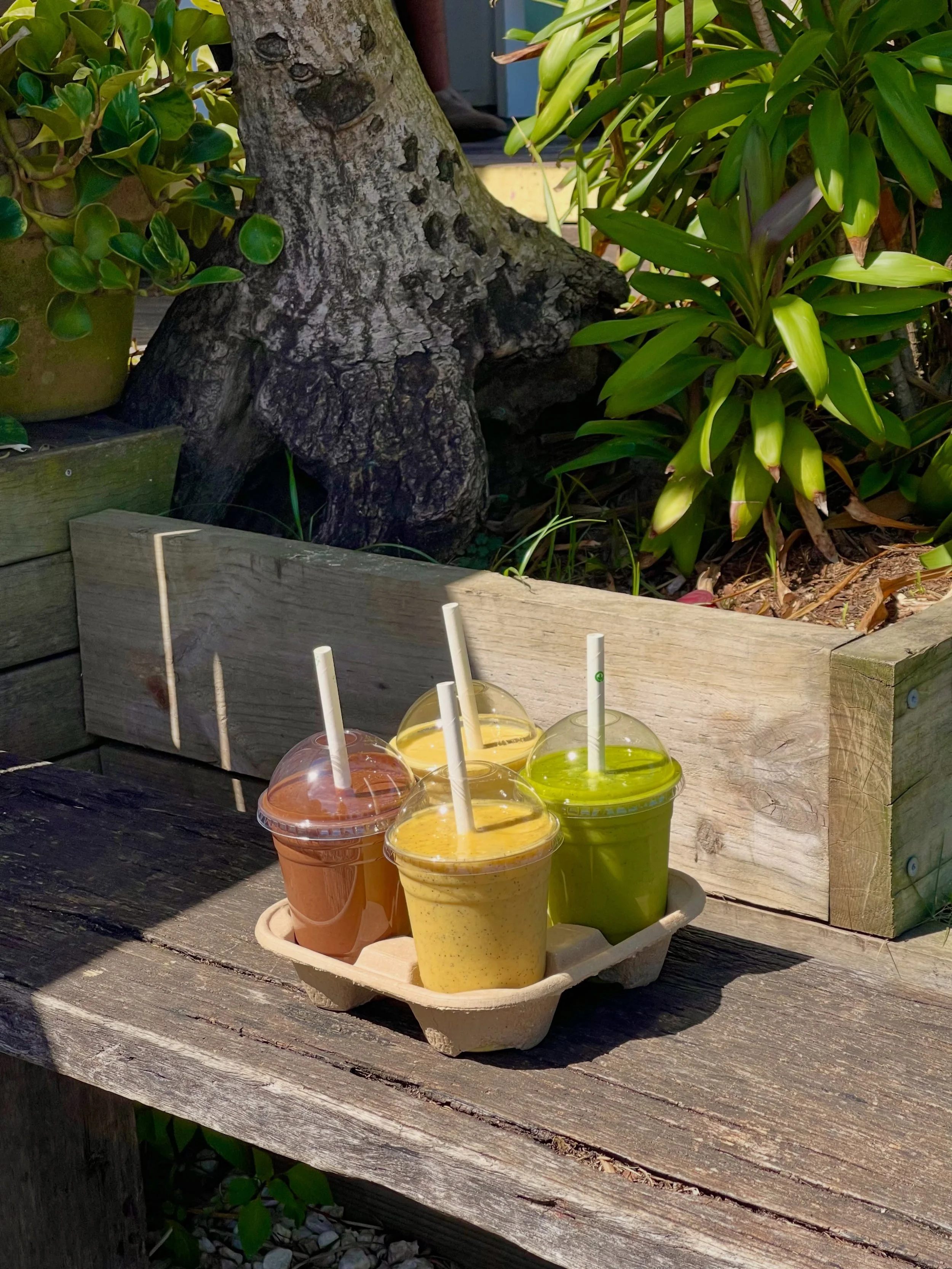 Fresh, delicious smoothies made to fuel your day🍌🥥🌞

✨ Coco Nana: Organic roasted cocoa, banana, cacao &amp; cinnamon protein, cacao nibs and oat milk
✨ Maca Mango: Mango, maca butter and creamy maca milk
✨ Greenie: Mint, cucumber, spinach, mango,