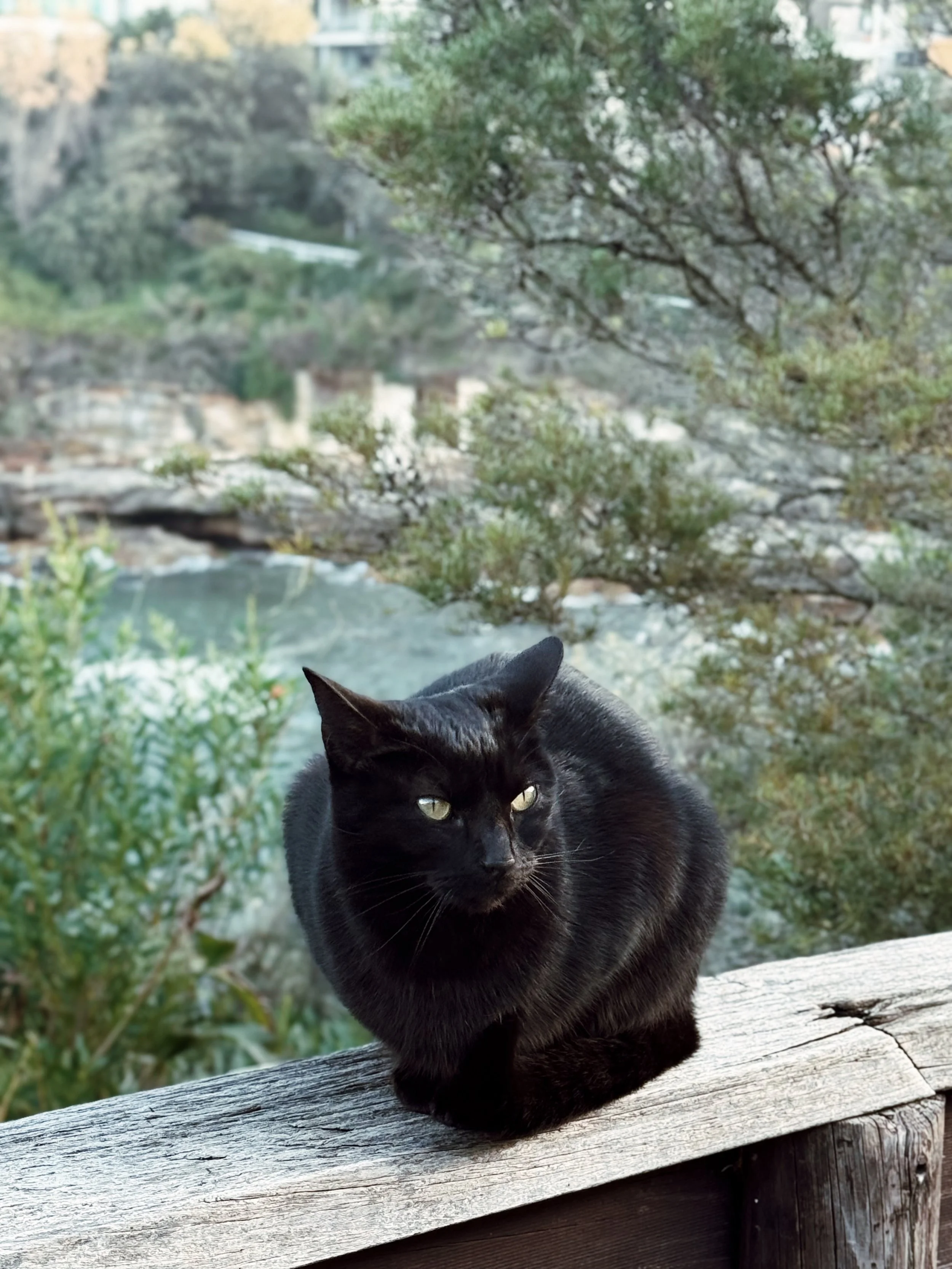 FullSizeRender_VSCO 4.JPG