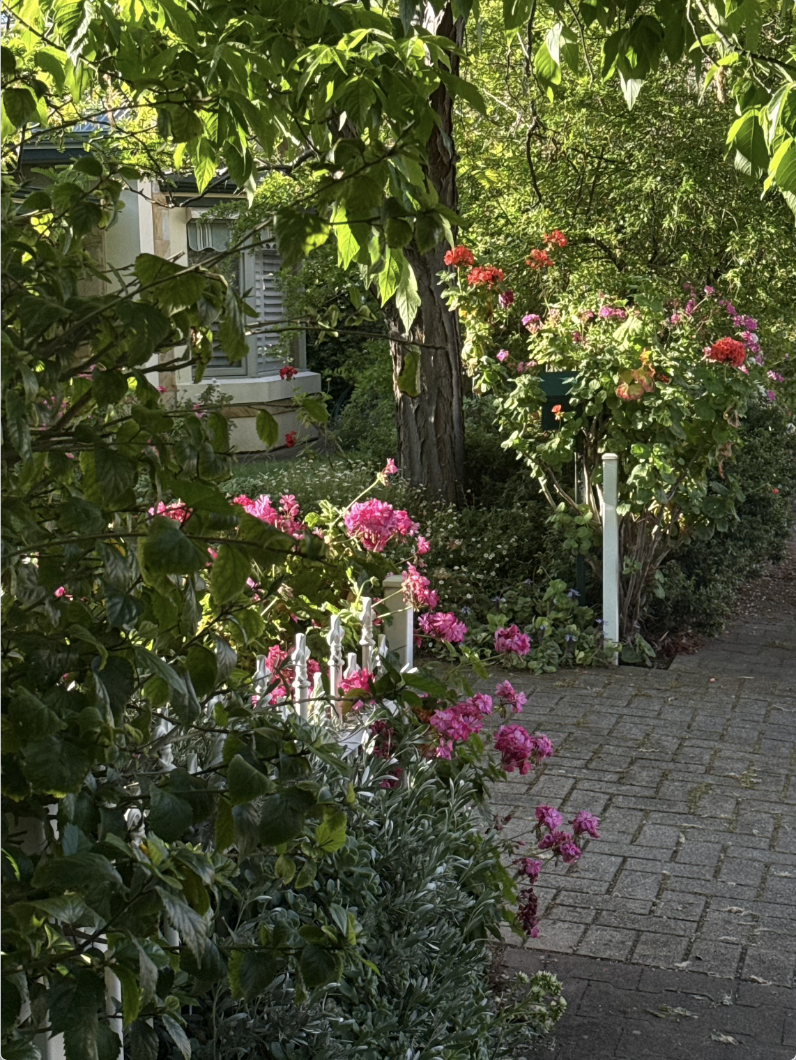 截圖 2025-12-08 上午10.23.41.png