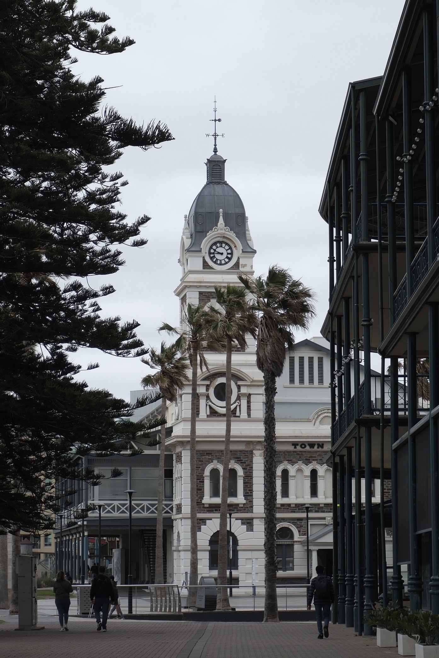 DSCF8618.jpg