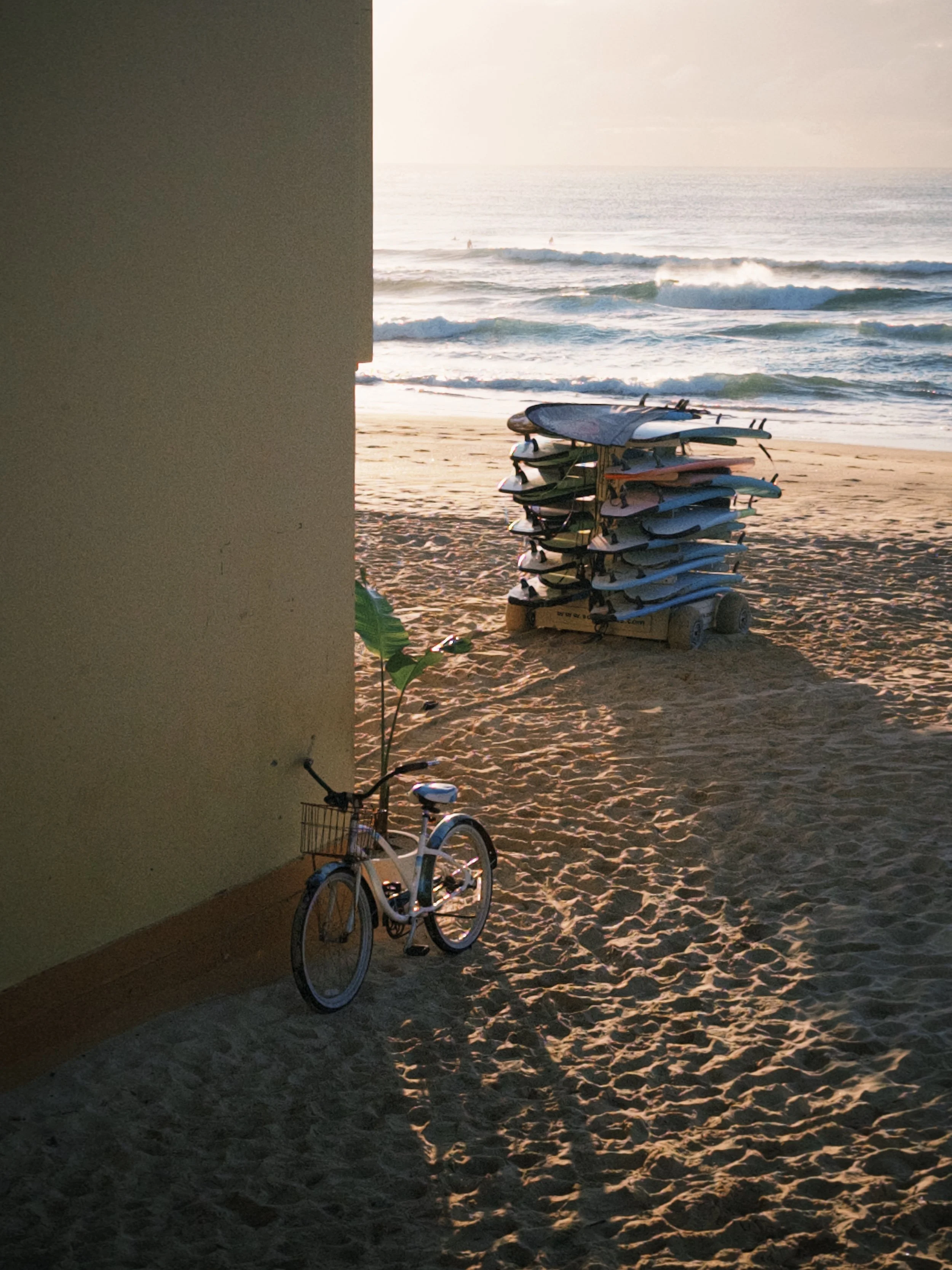 fxn 2025-06-28 073835.663.JPG