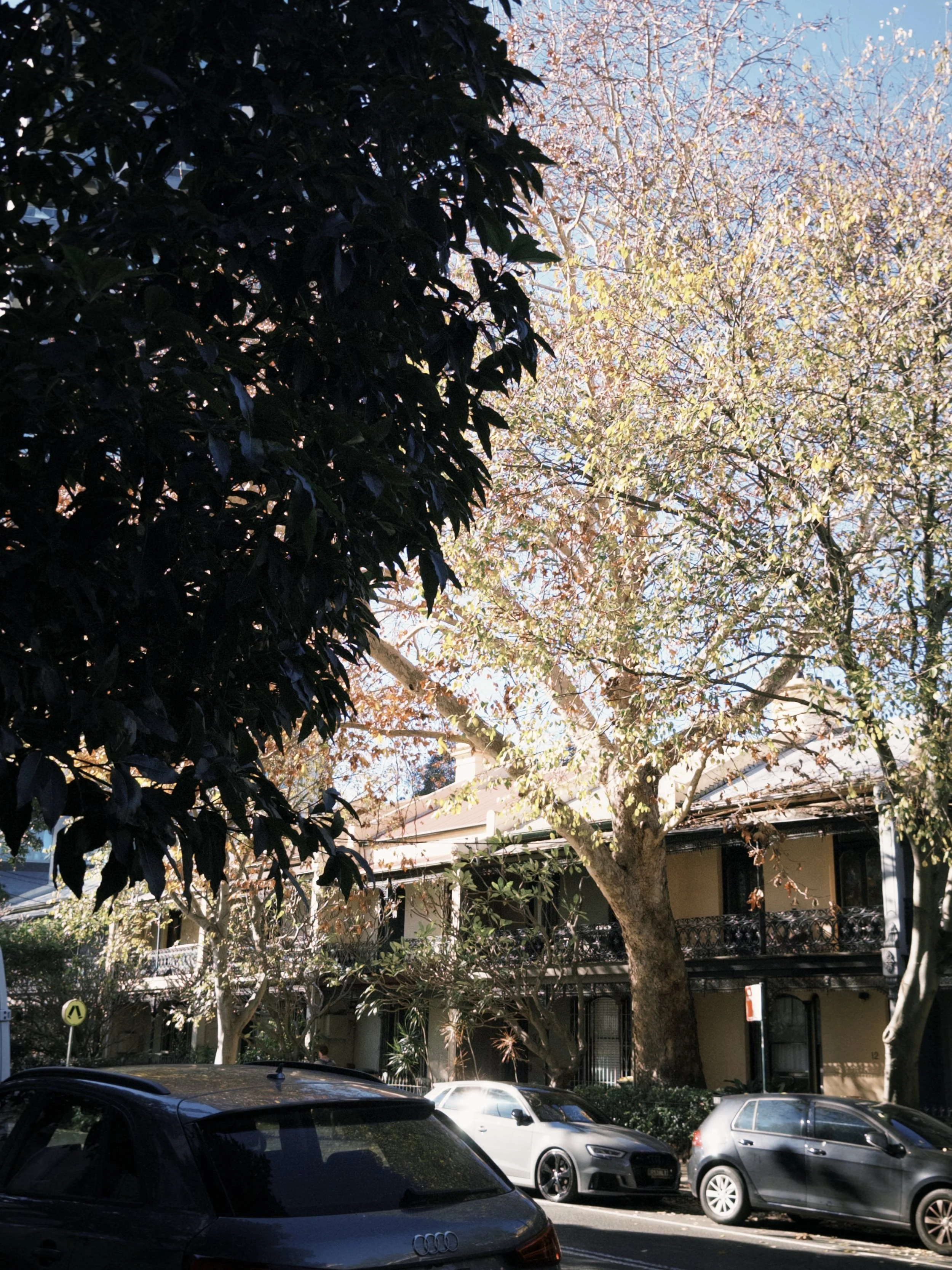 fxn 2025-06-23 130427.401.jpg