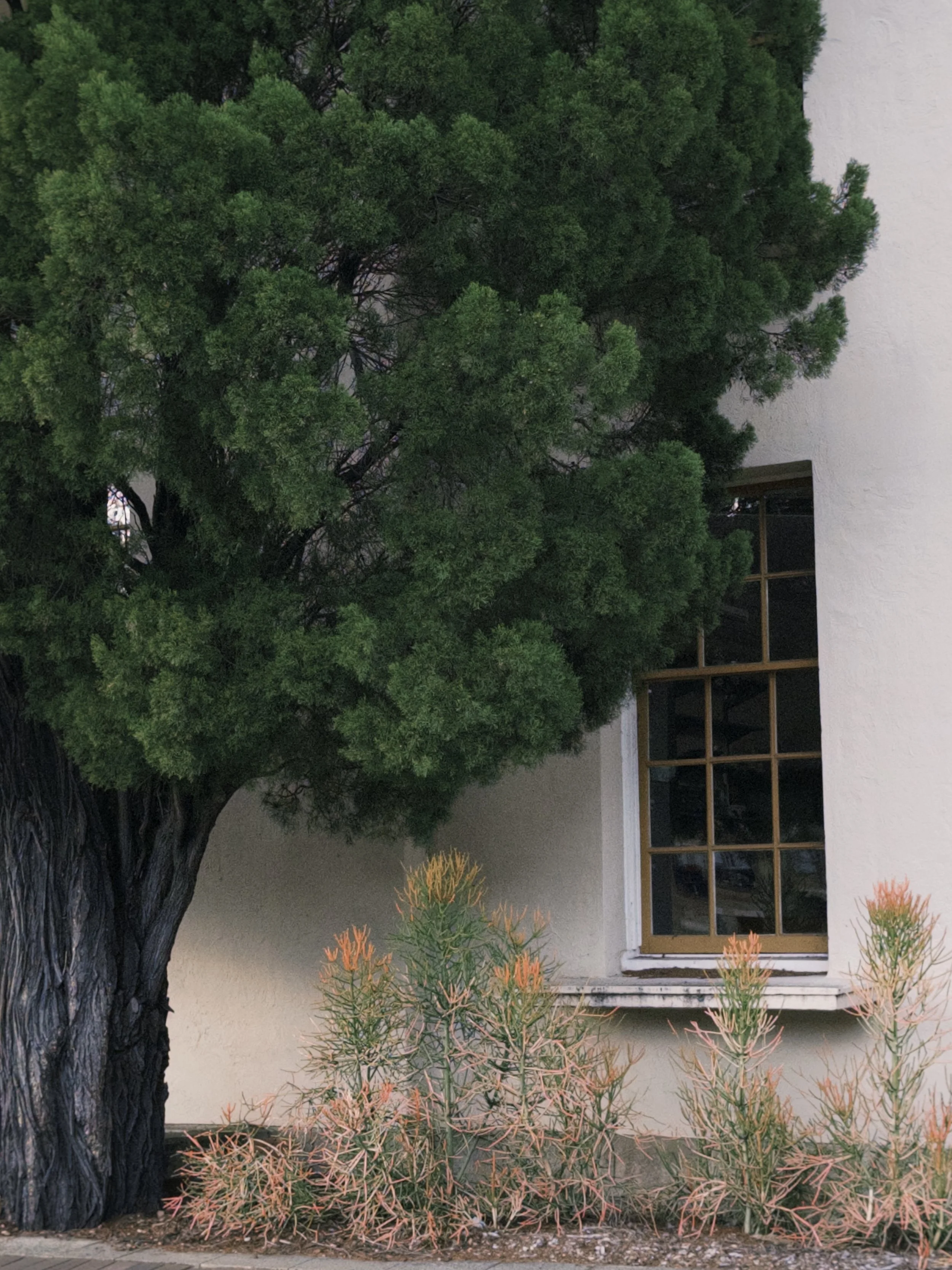 fxn 2025-06-24 081833.501.jpg