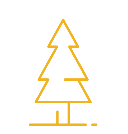 Japanese Cedar — FORJ Premium Cedar