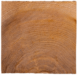 Japanese Cedar — FORJ Premium Cedar