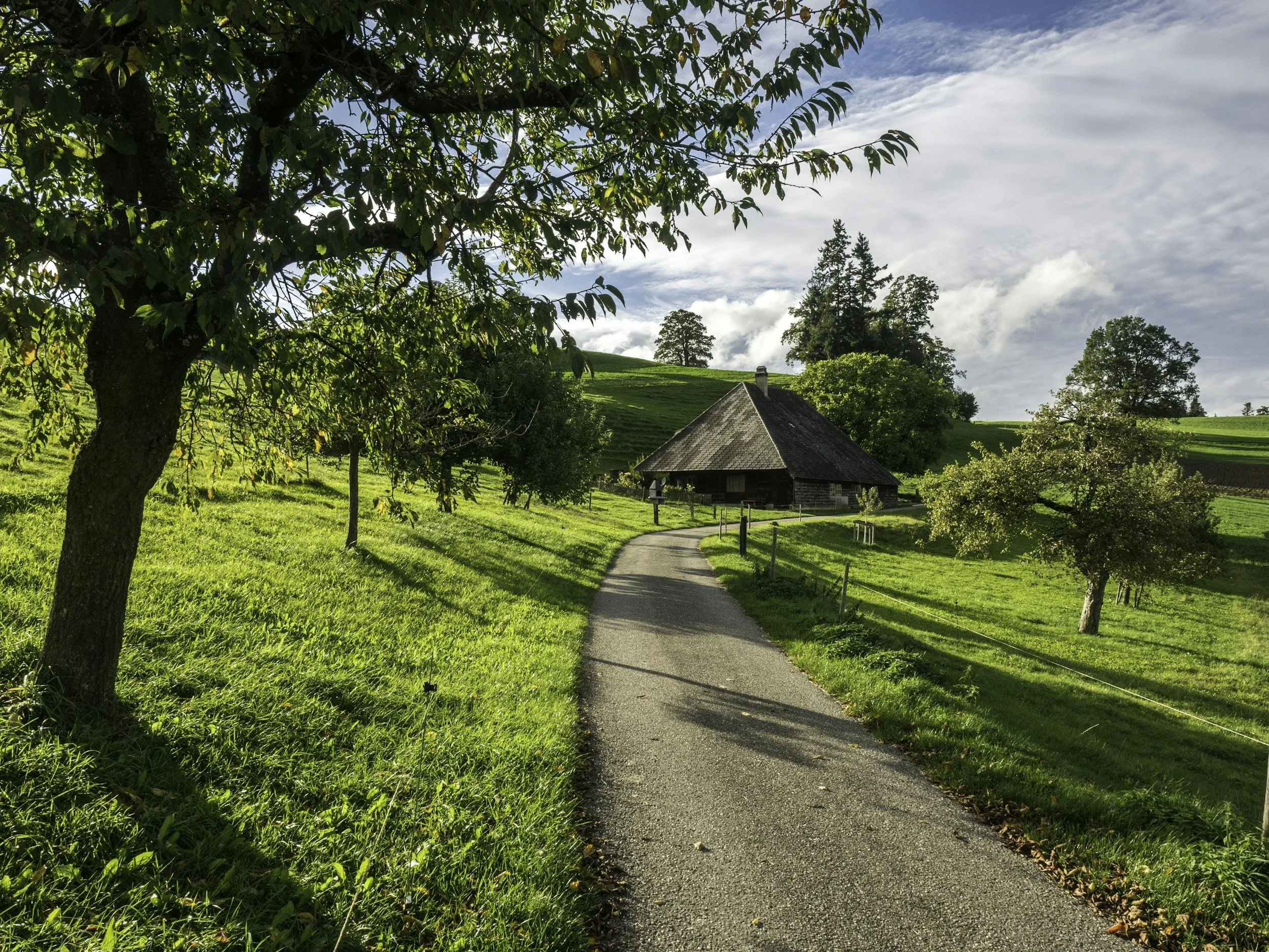 Reinigungsunternehmen Burgdorf