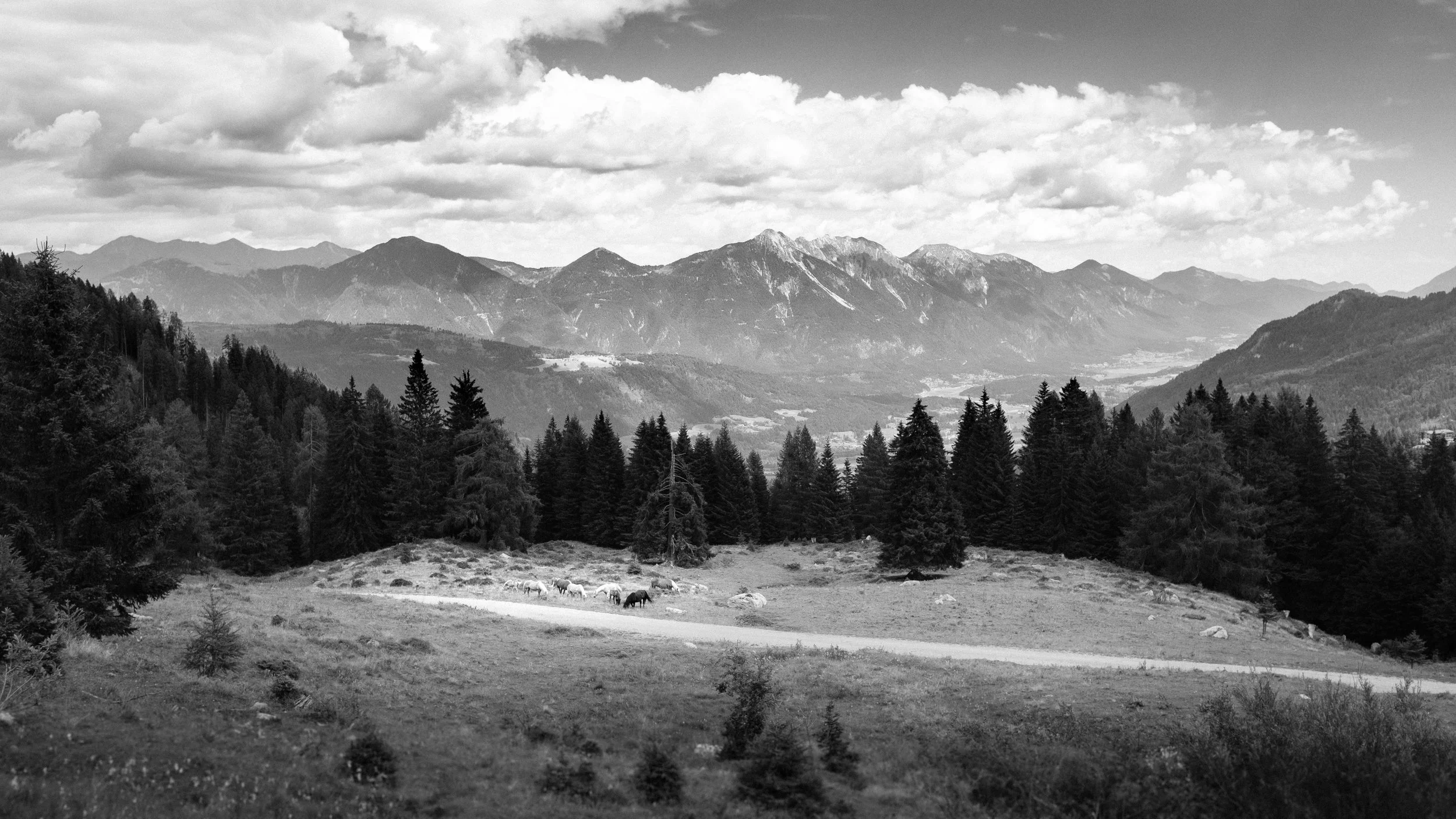 oostenrijk-1.jpg