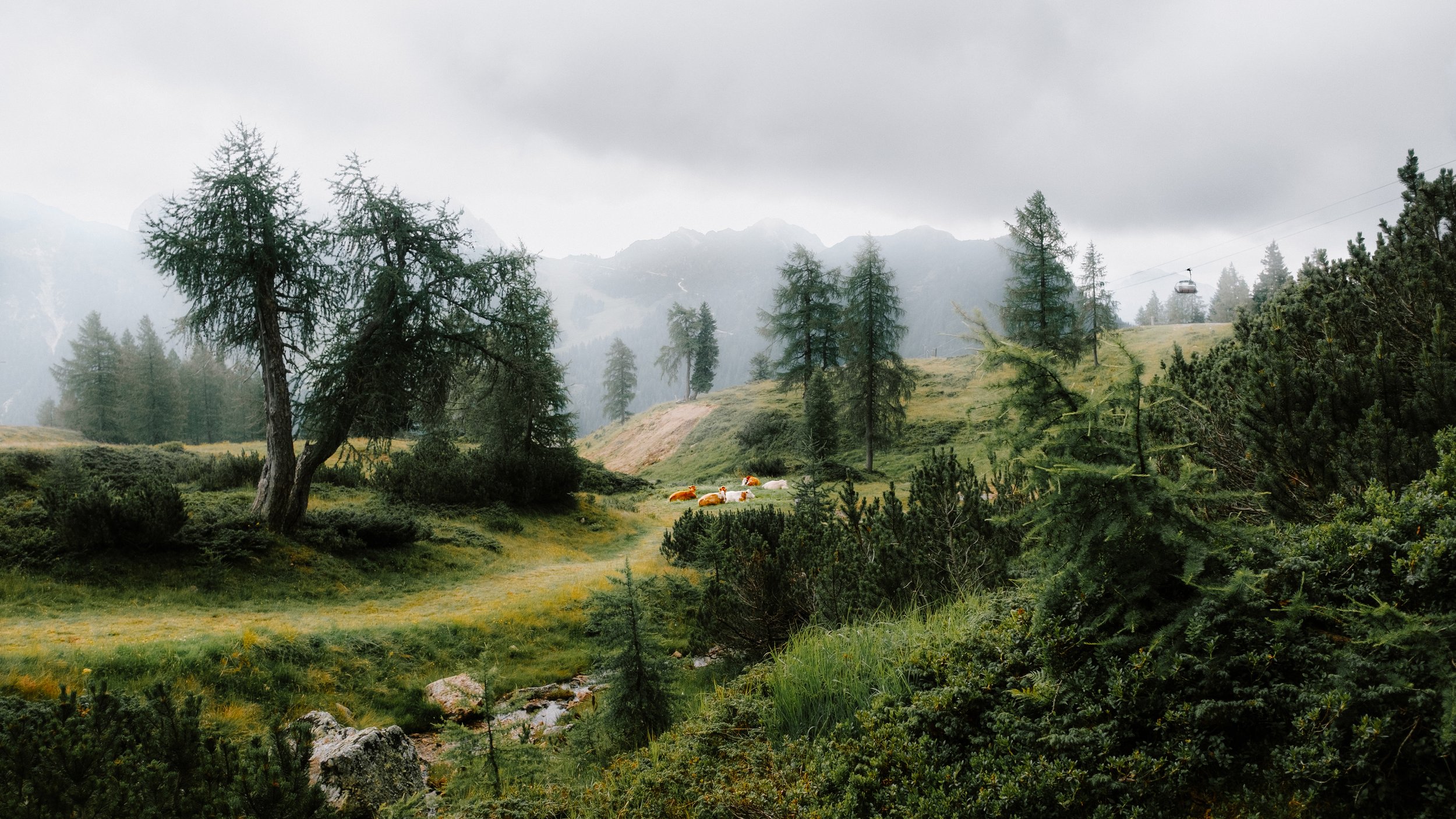 oostenrijk-2.jpg