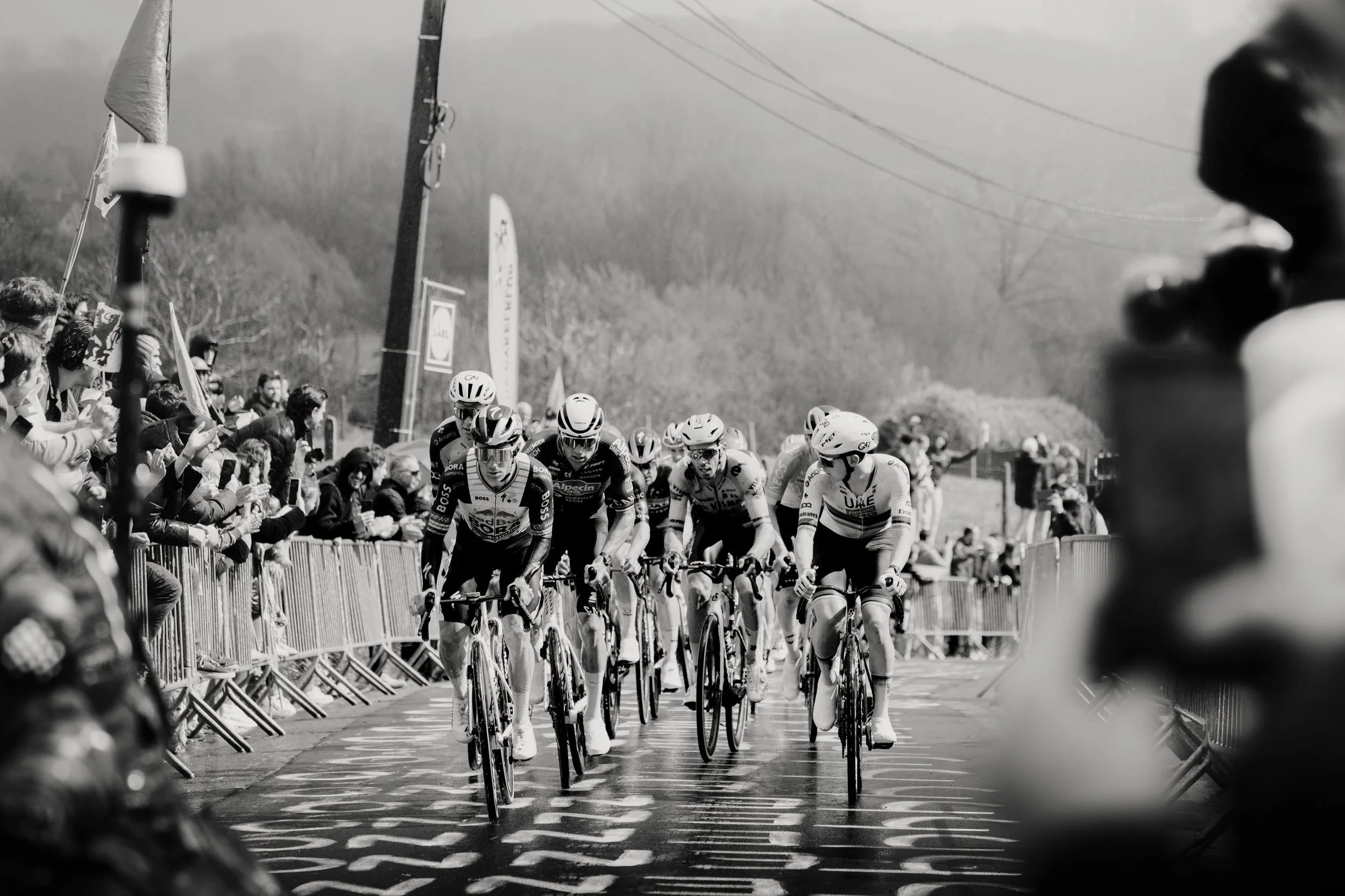 RVV_2026-6.jpg