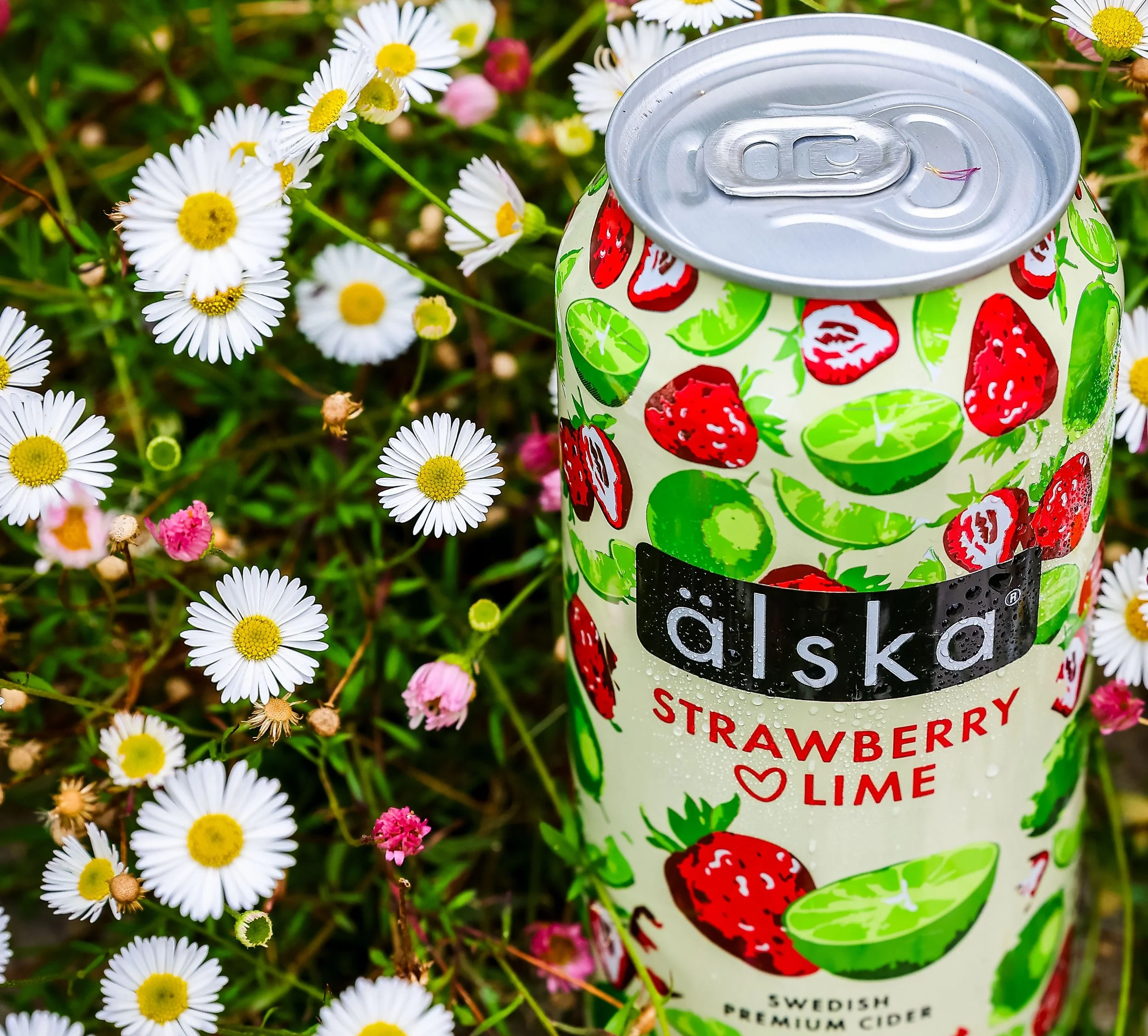 Alska-26.jpg